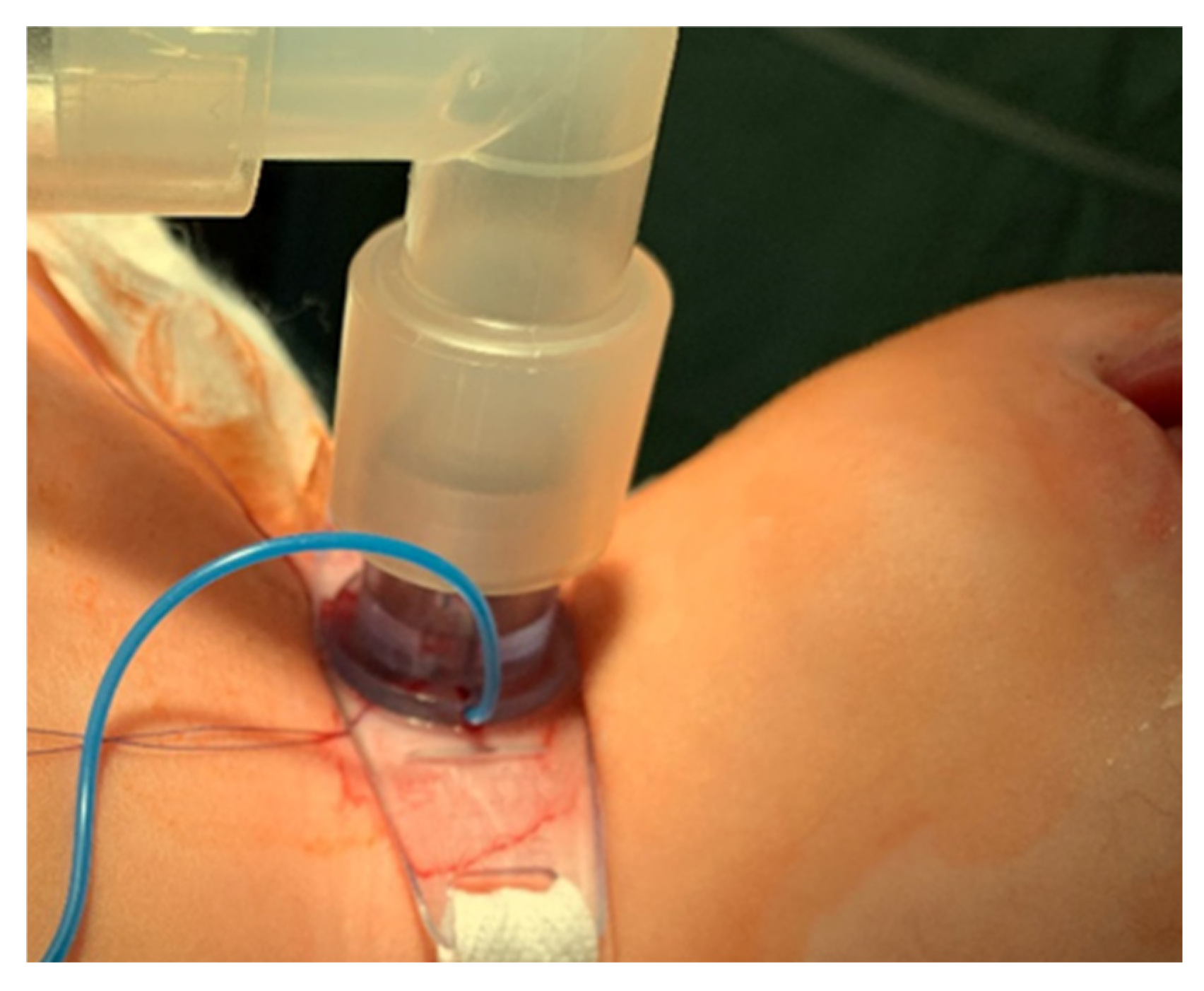 Children 12 00637 g007