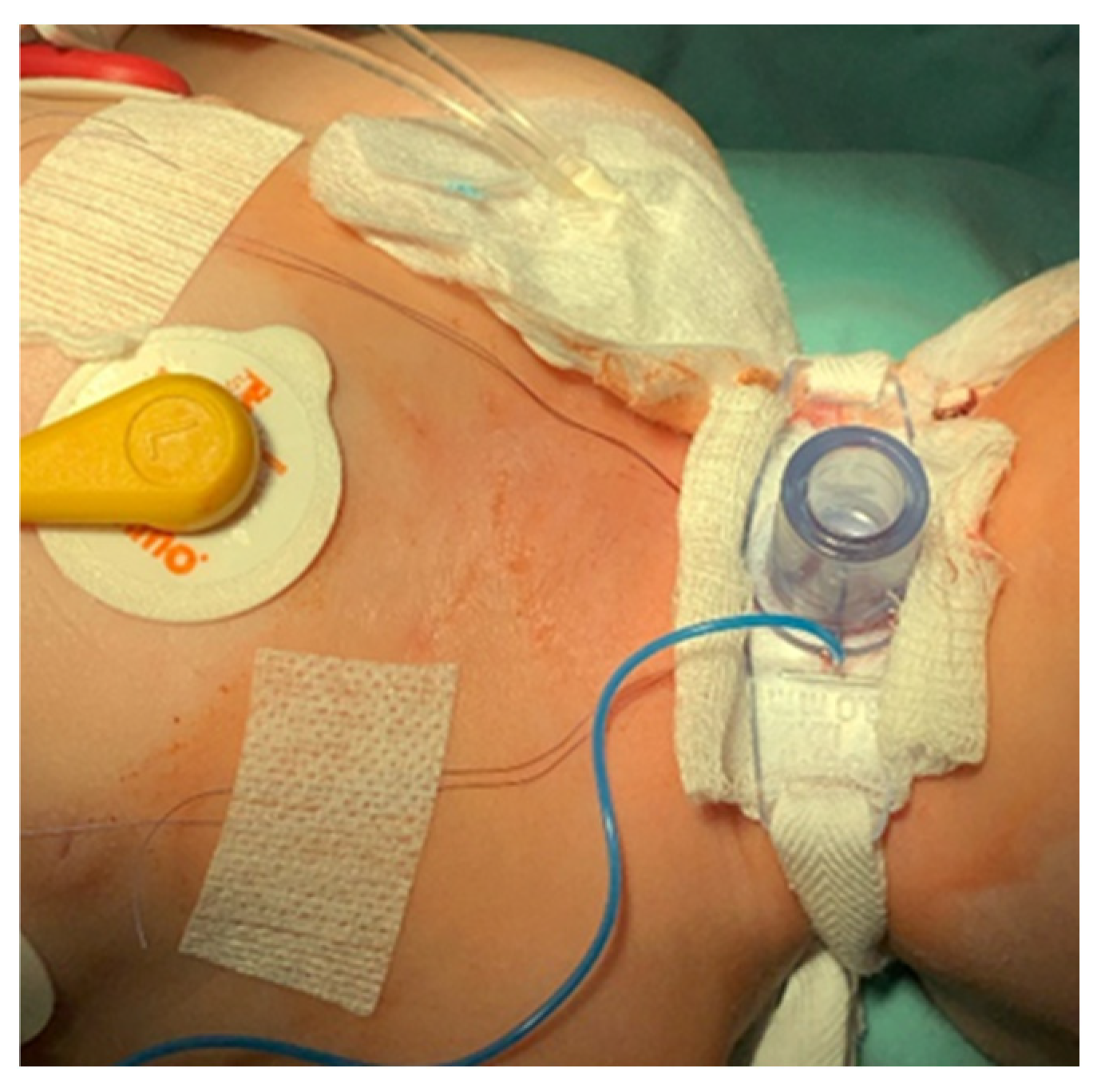 Children 12 00637 g008