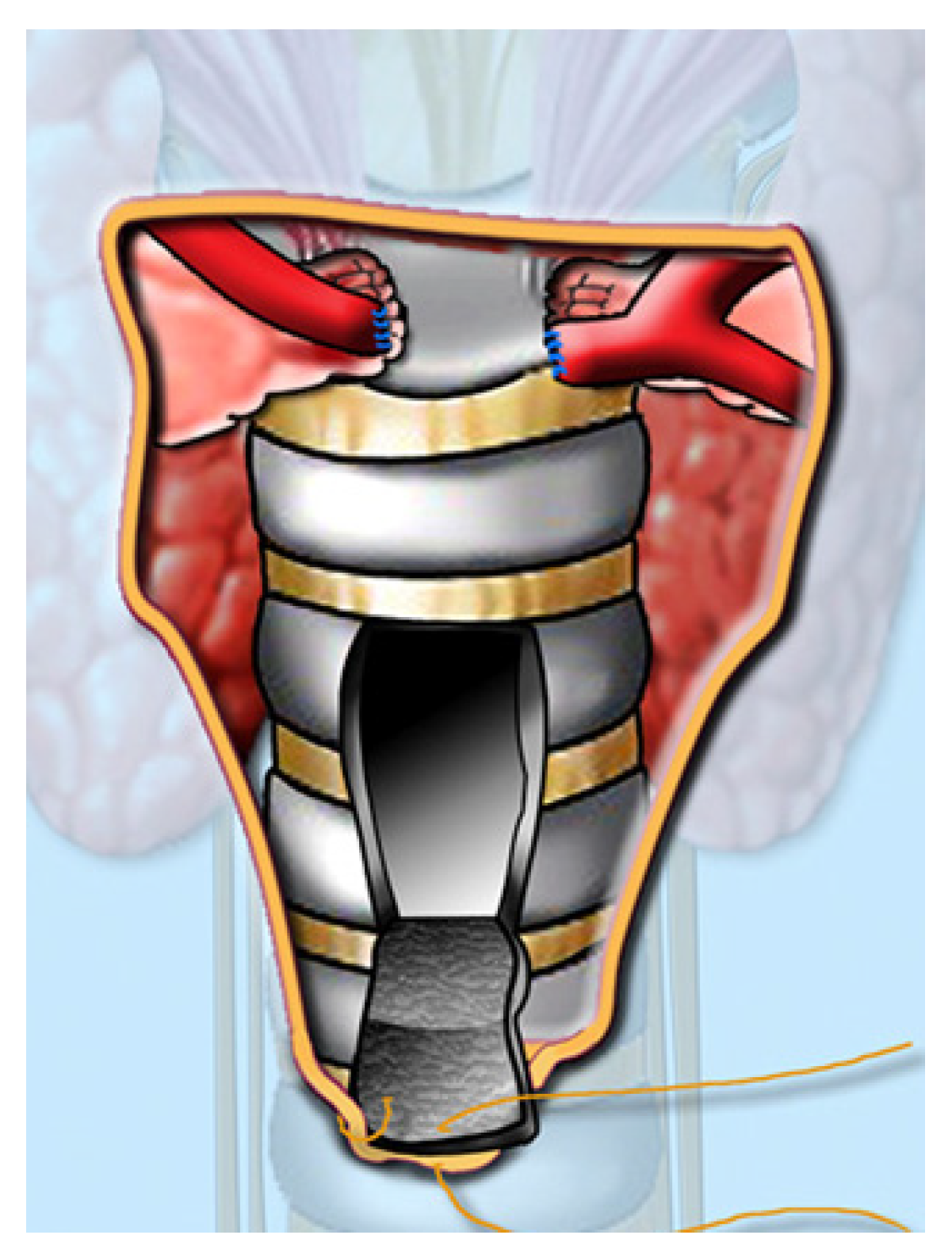 Children 12 00637 g009