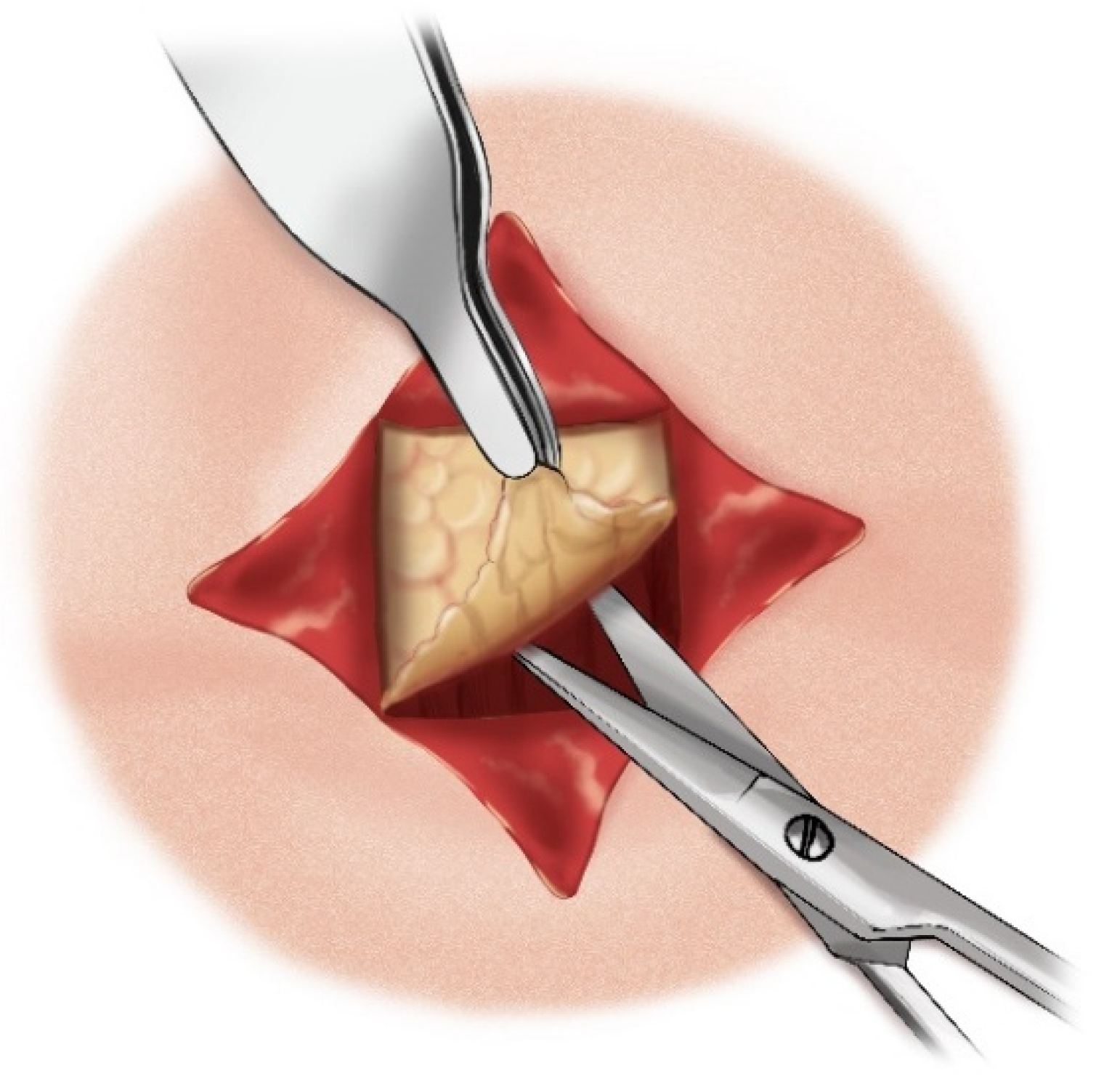 Children 12 00637 g013