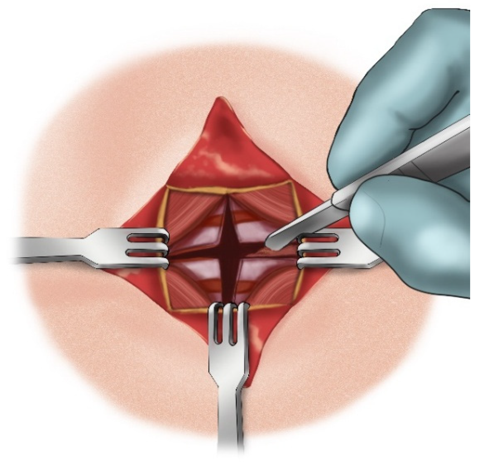 Children 12 00637 g014