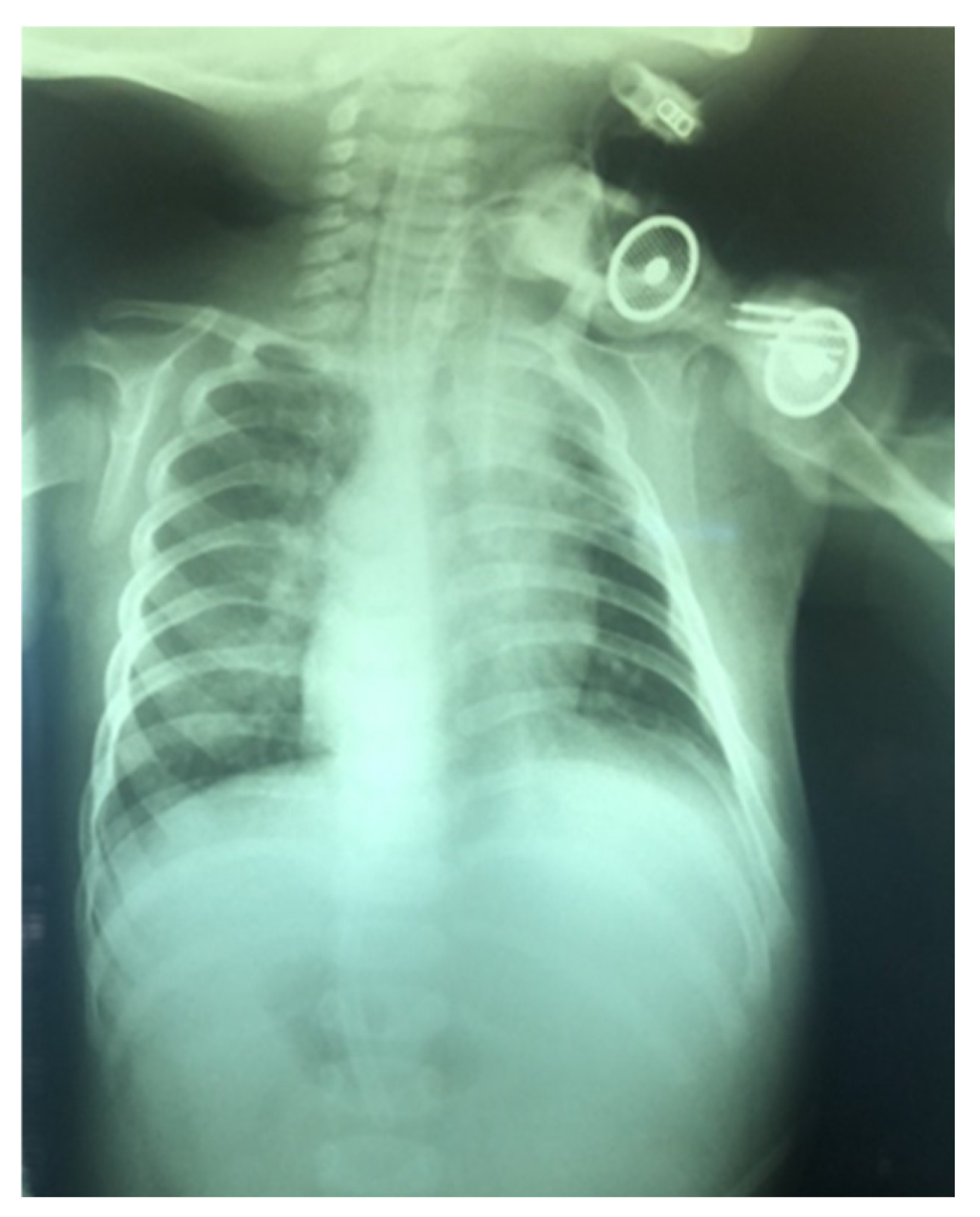 Children 12 00637 g016