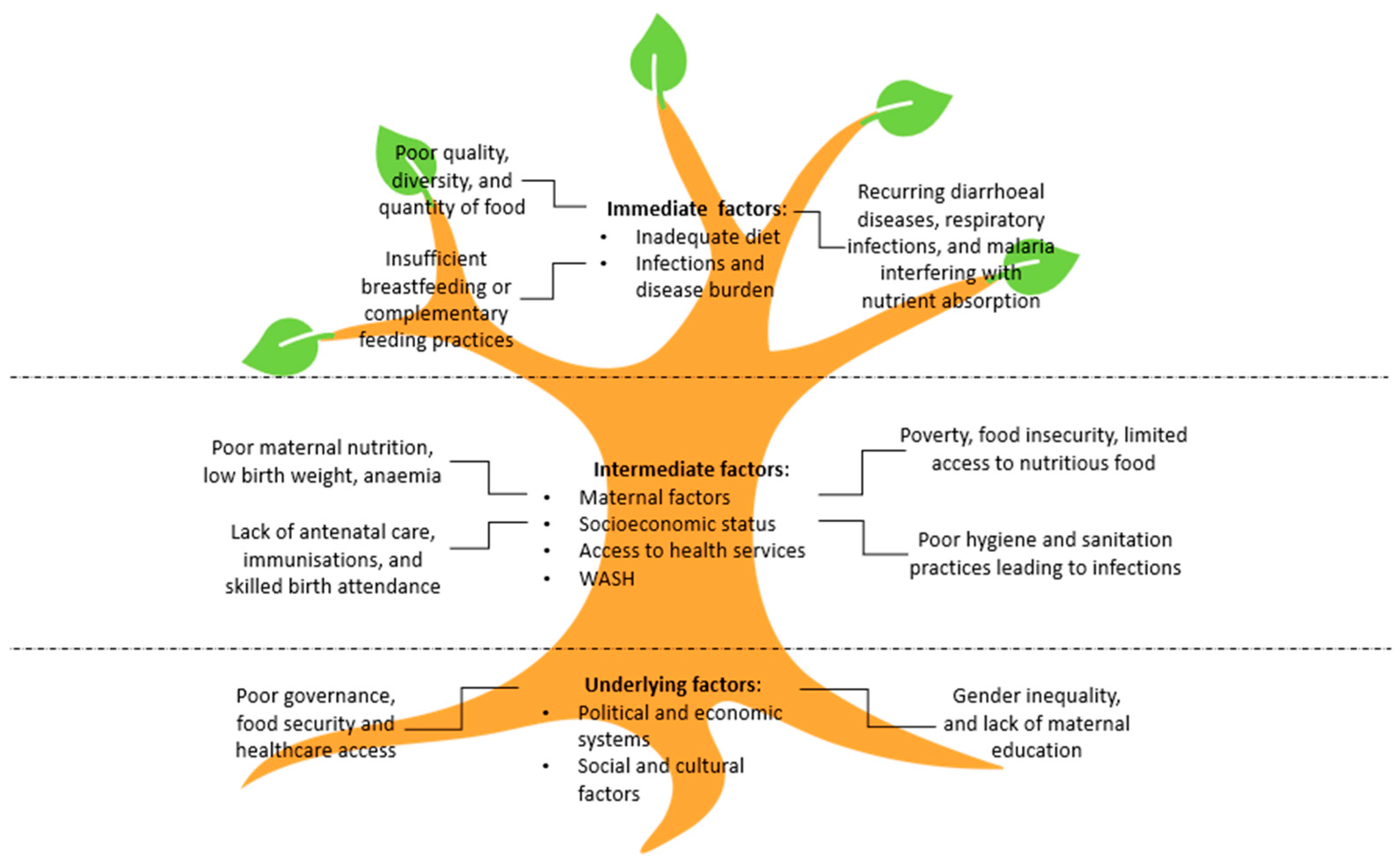 Children 12 00641 g002