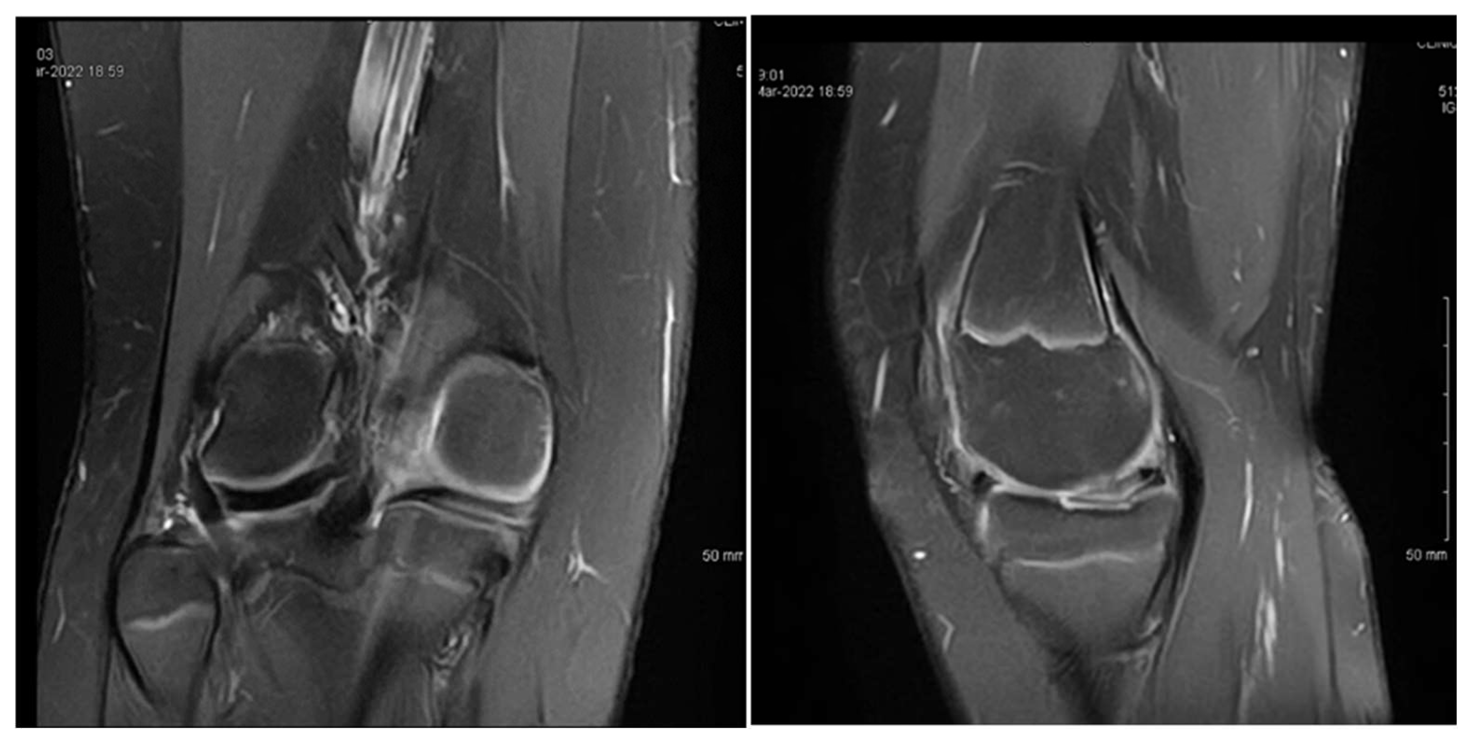 Children 12 00646 g002