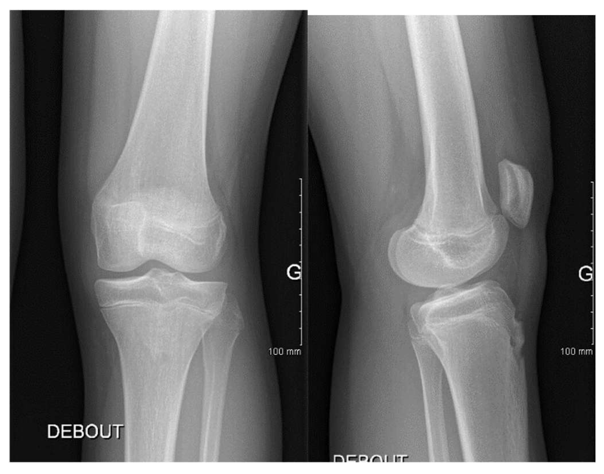 Children 12 00646 g004