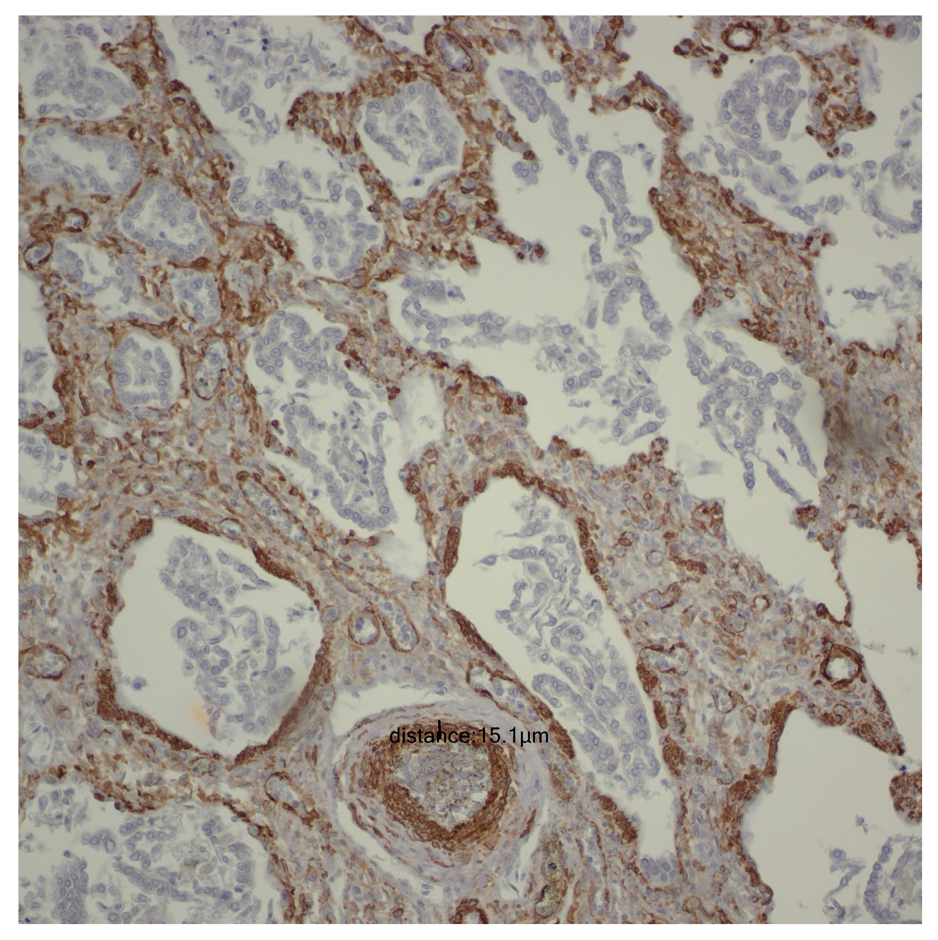 Children 12 00650 g001