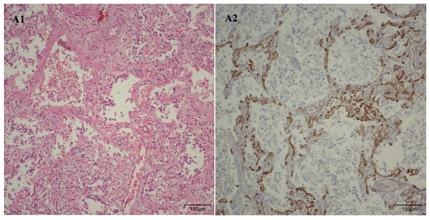 Children 12 00650 g007a