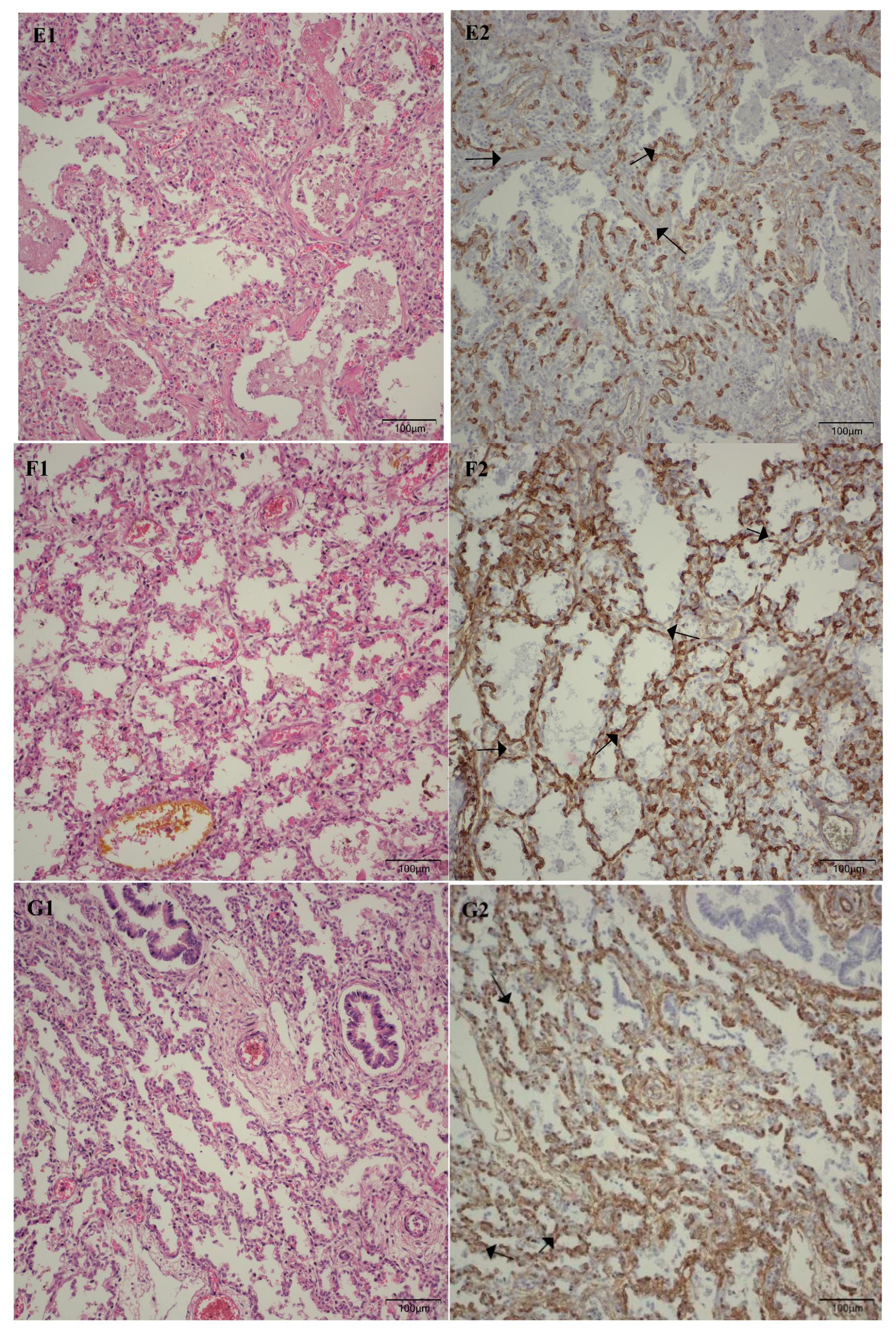 Children 12 00650 g007c