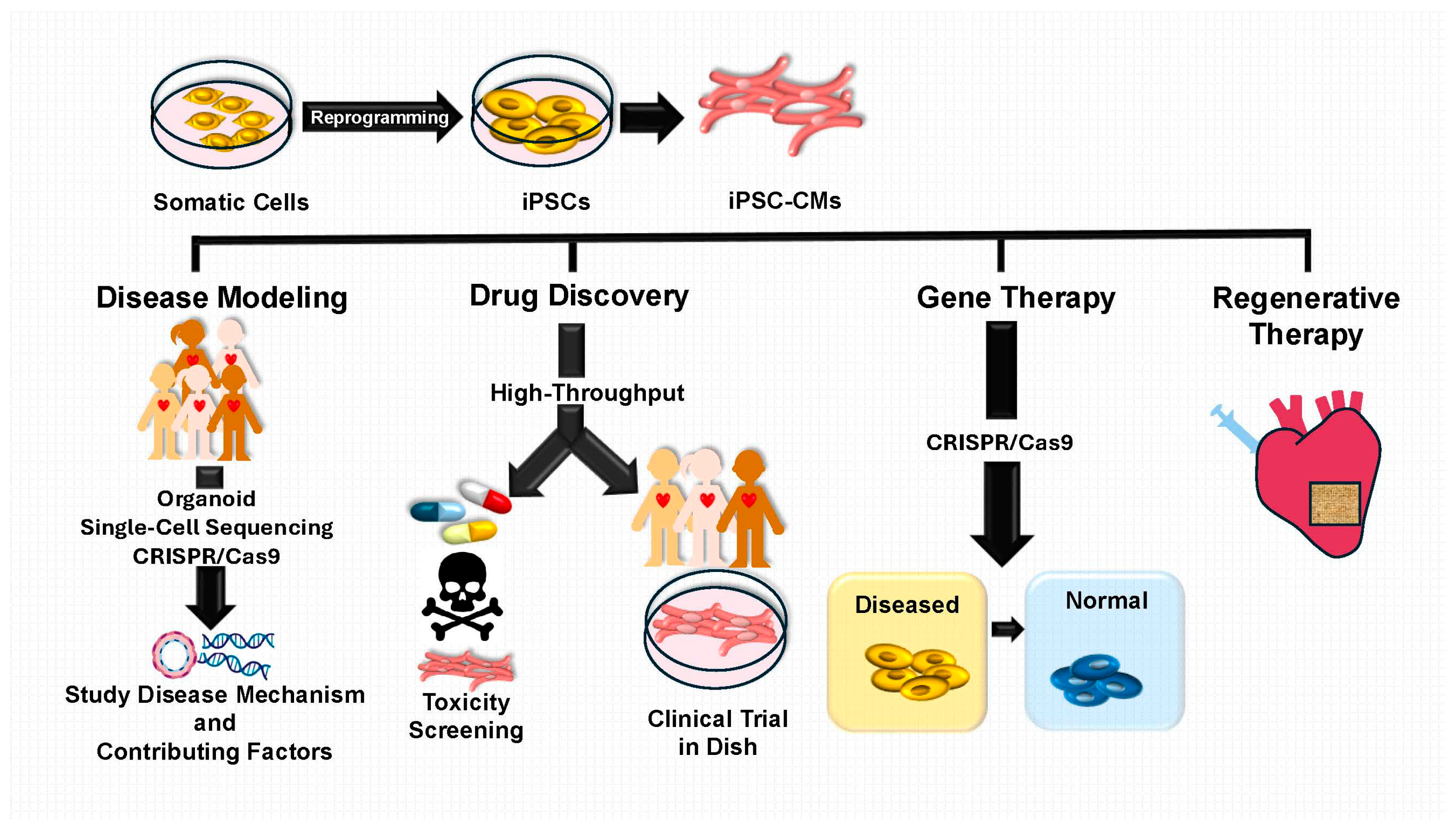 Children 12 00669 g001 Children 12 00669 g001