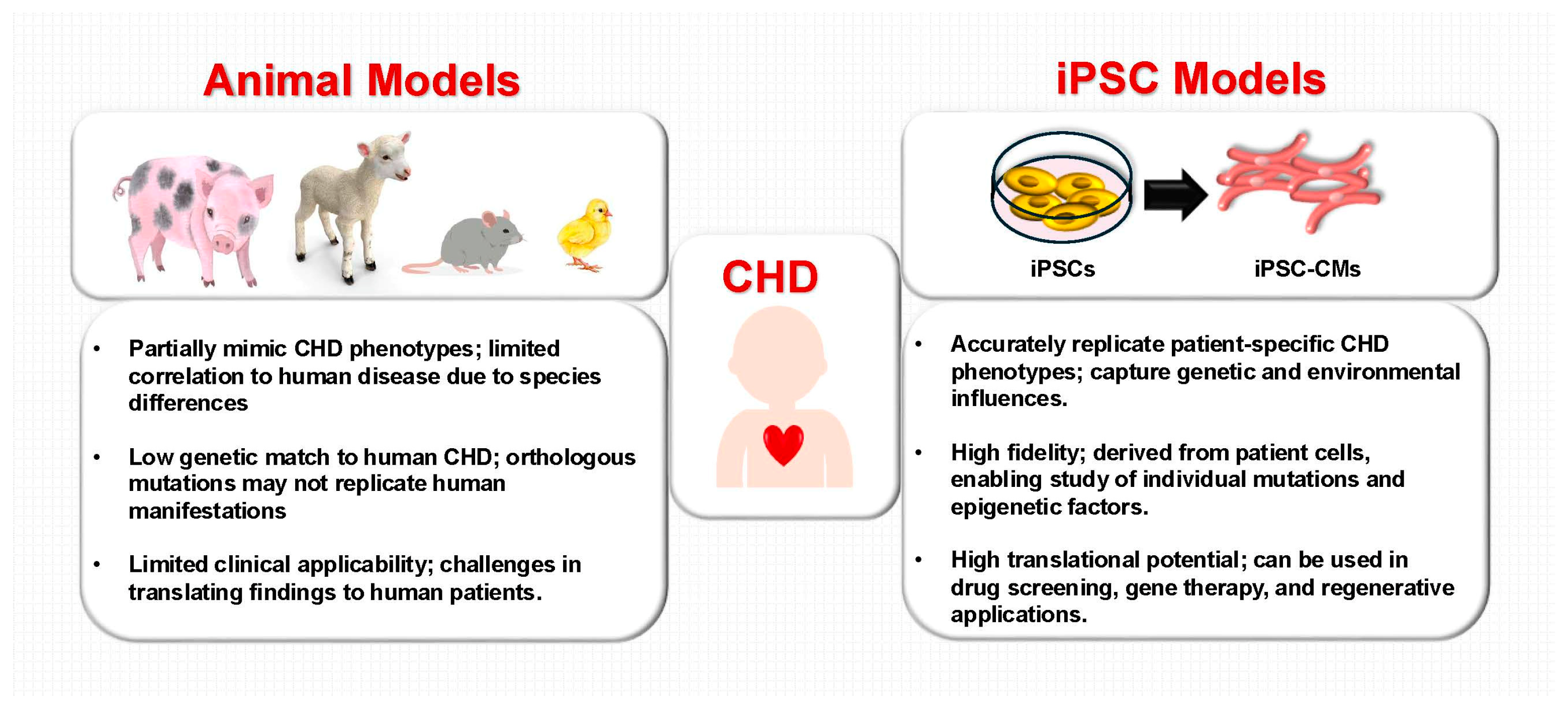 Children 12 00669 g002 Children 12 00669 g002