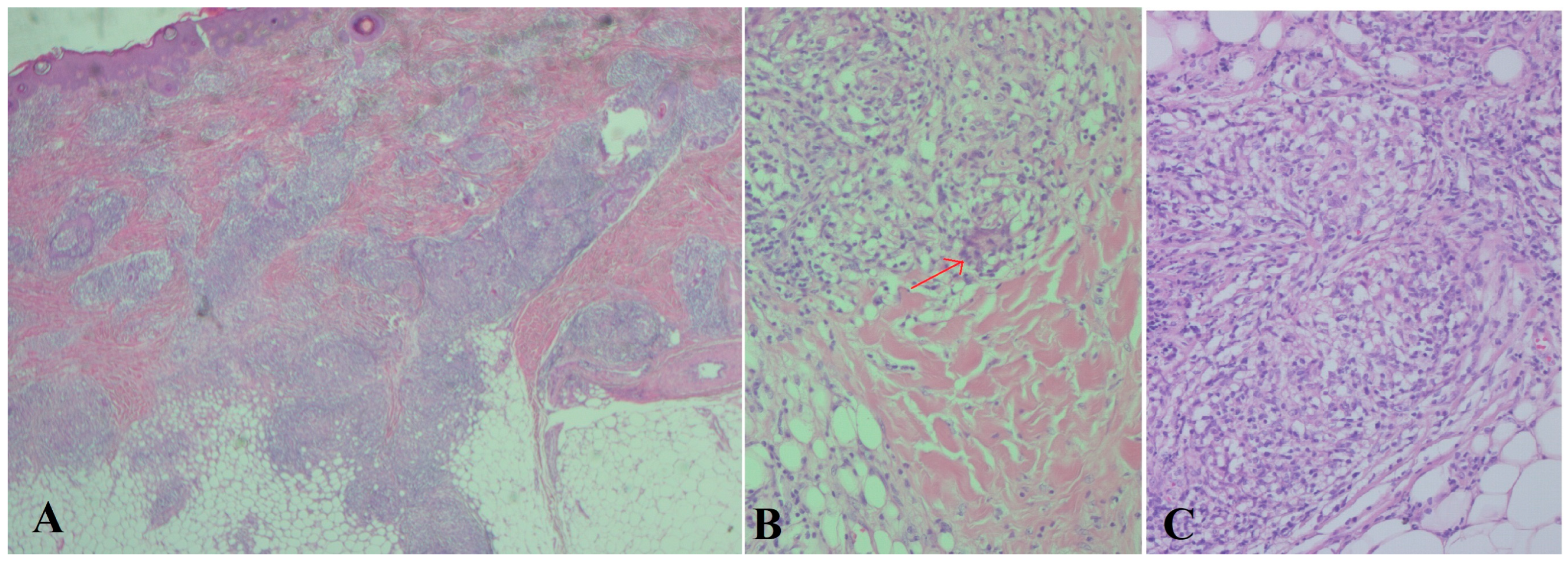 Children 12 00672 g002