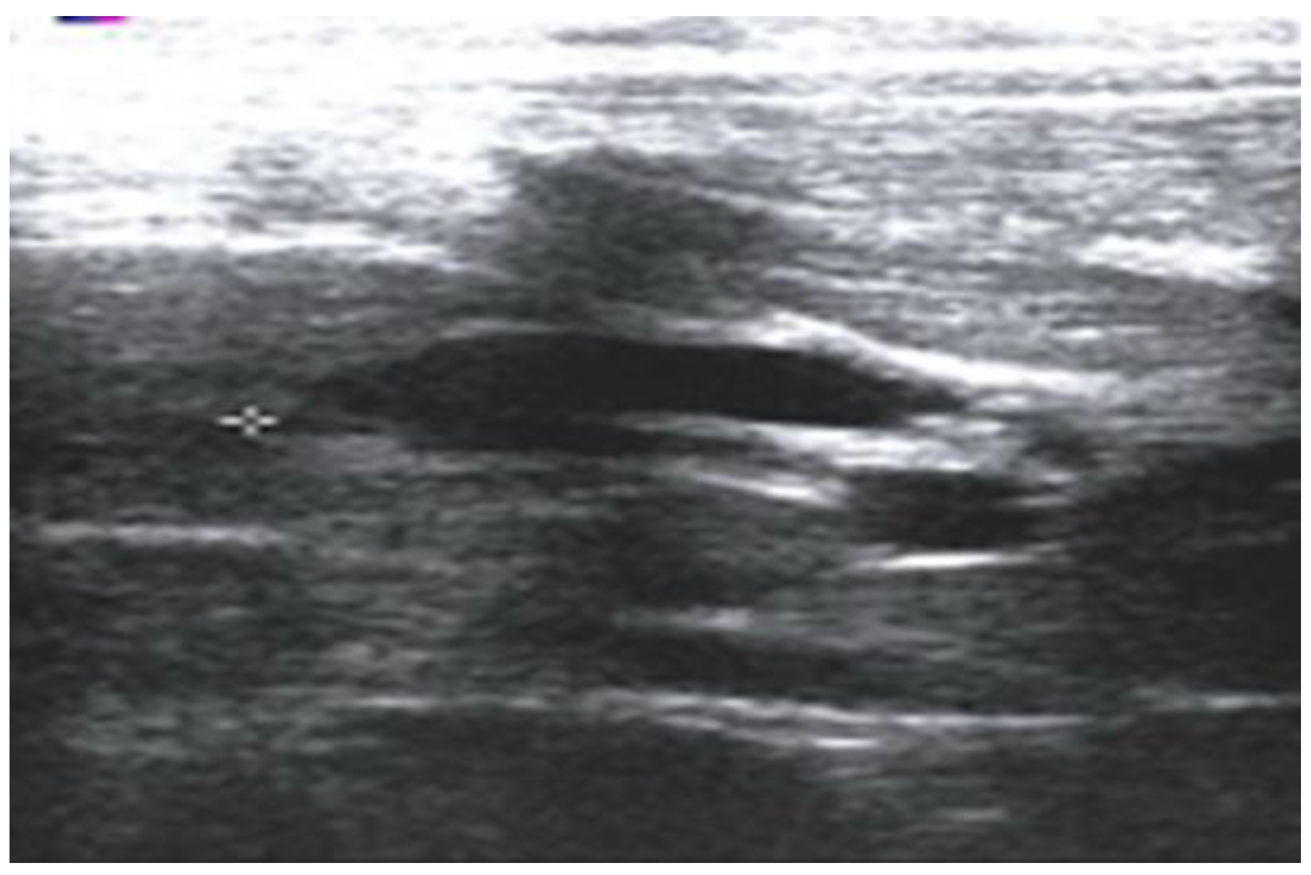 Children 12 00689 g001