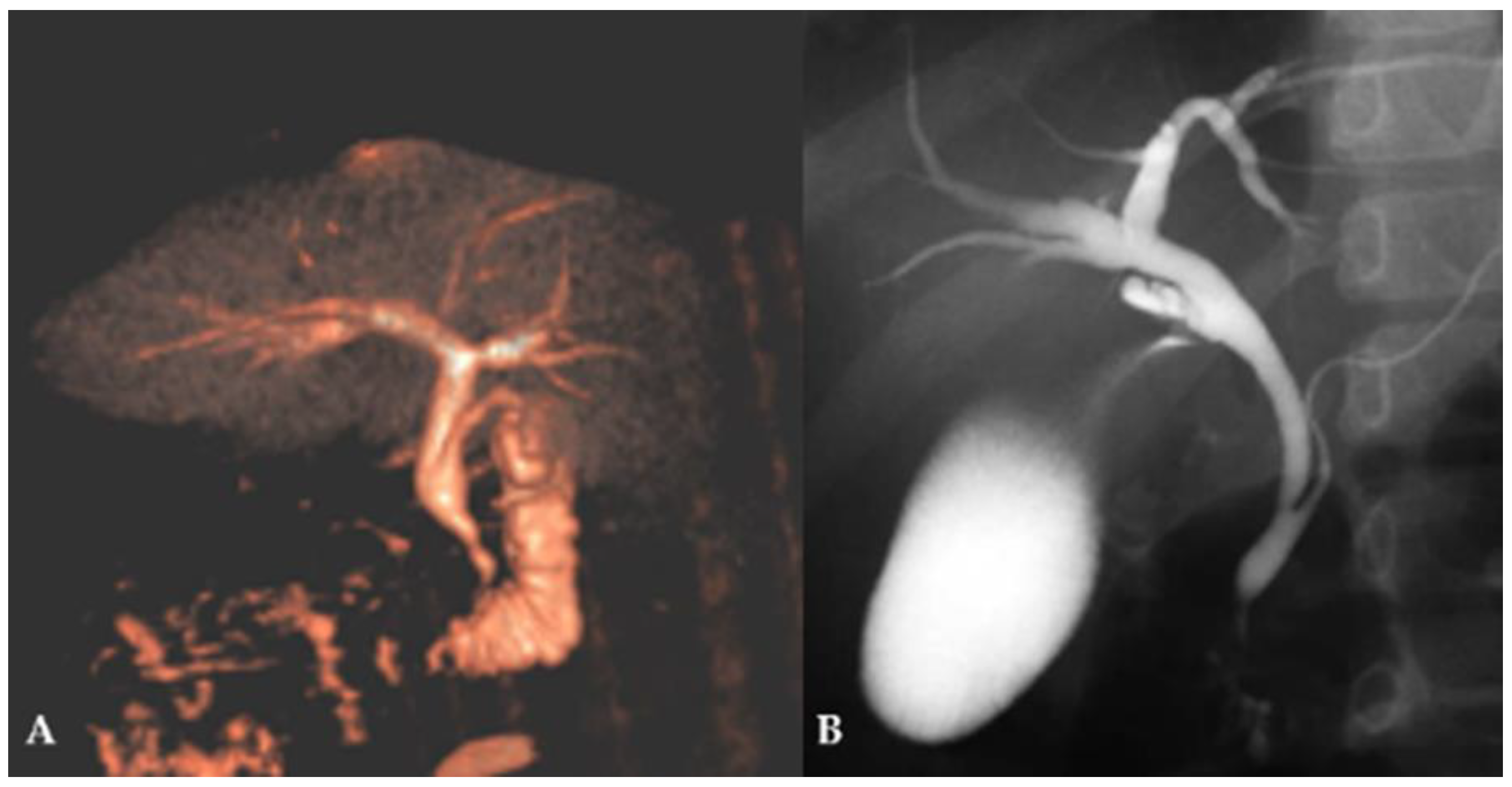 Children 12 00689 g002