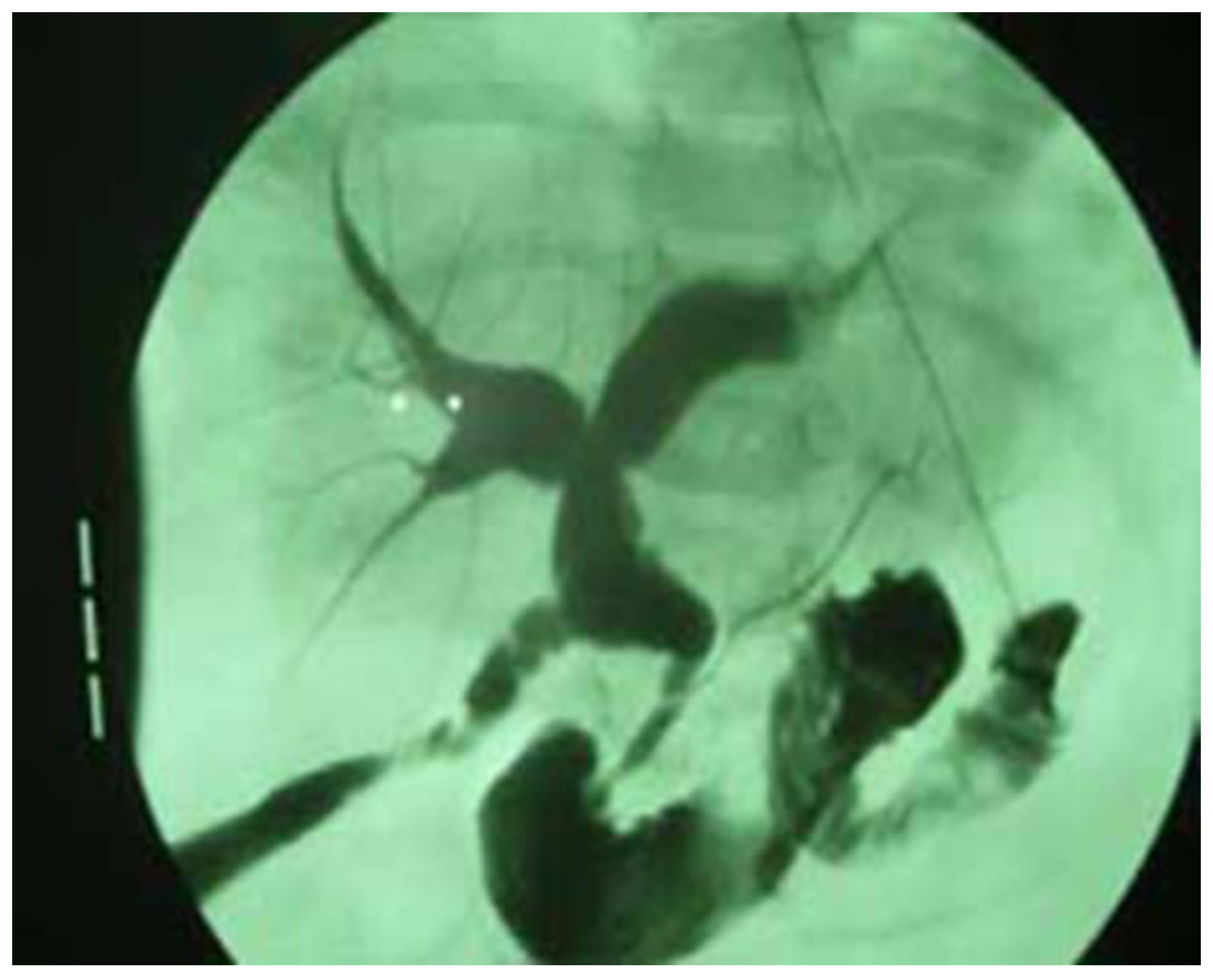 Children 12 00689 g003