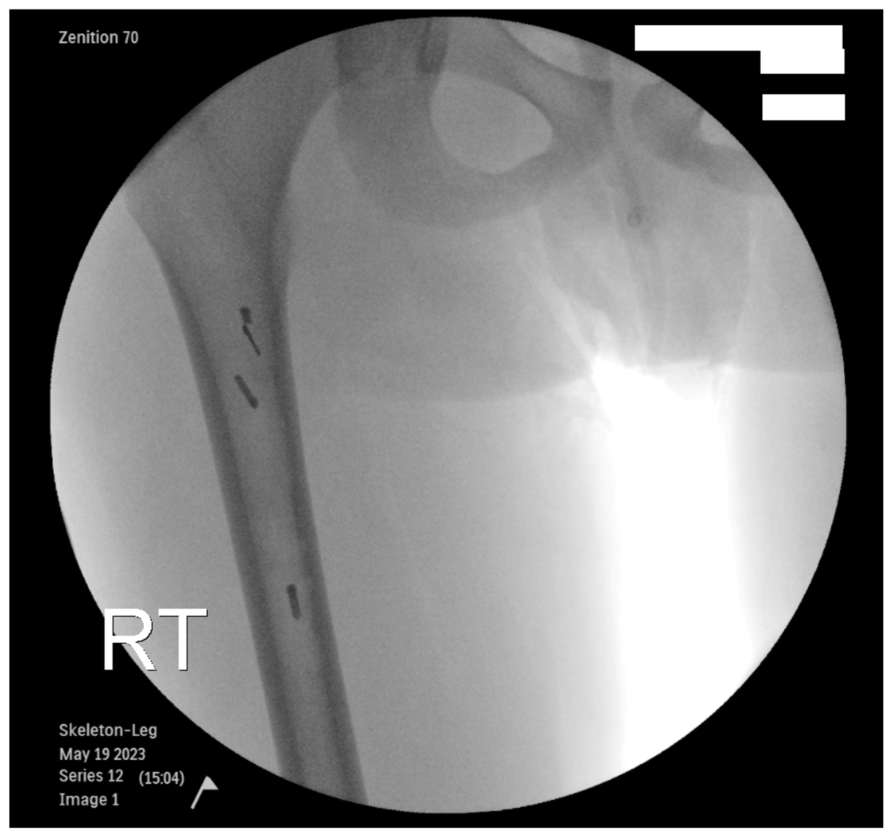 Children 12 00700 g002