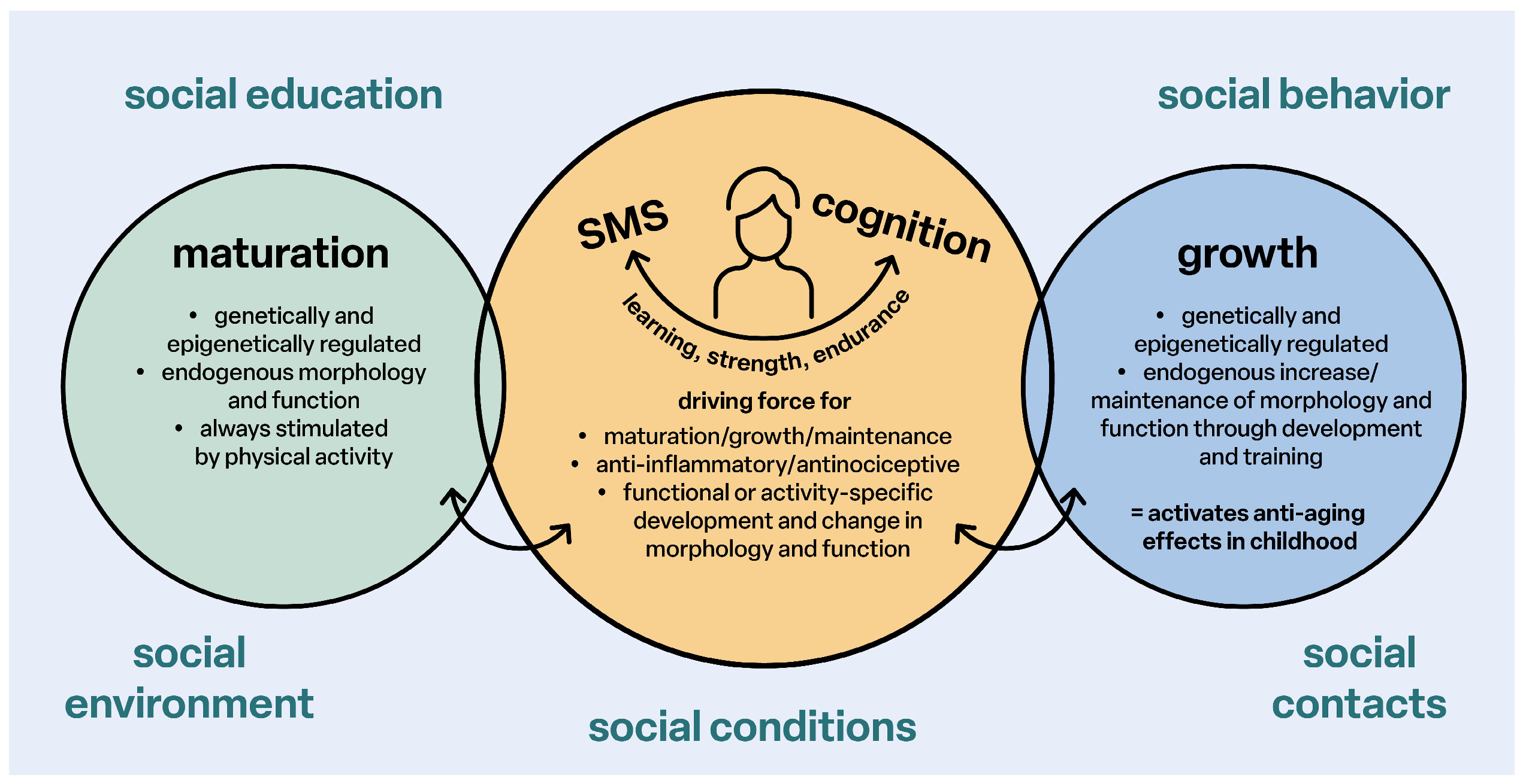 Children 12 00702 g002