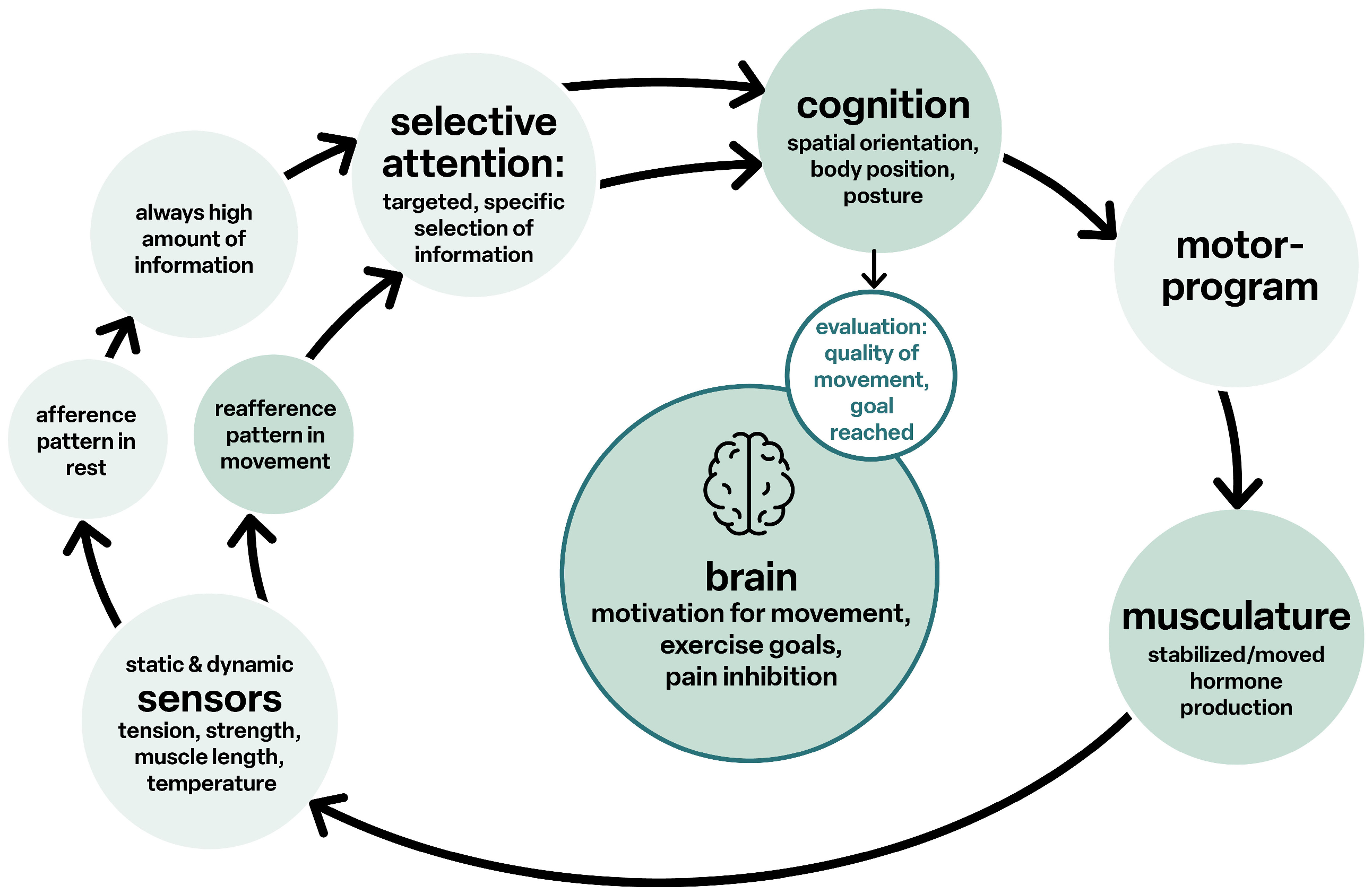 Children 12 00702 g005