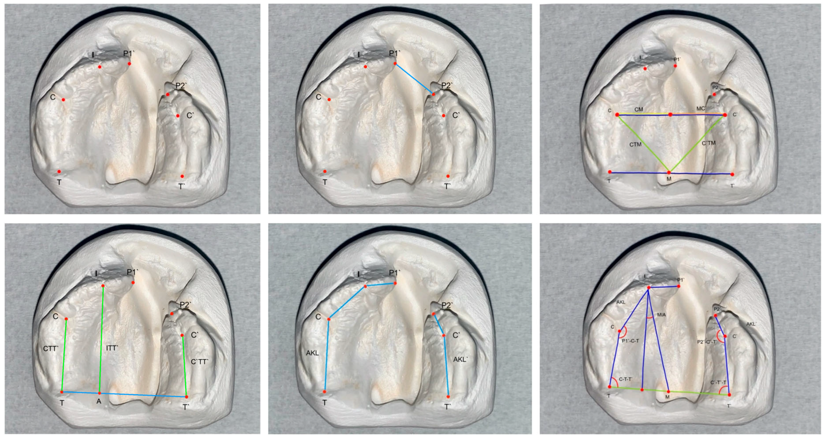 Children 12 00714 g002