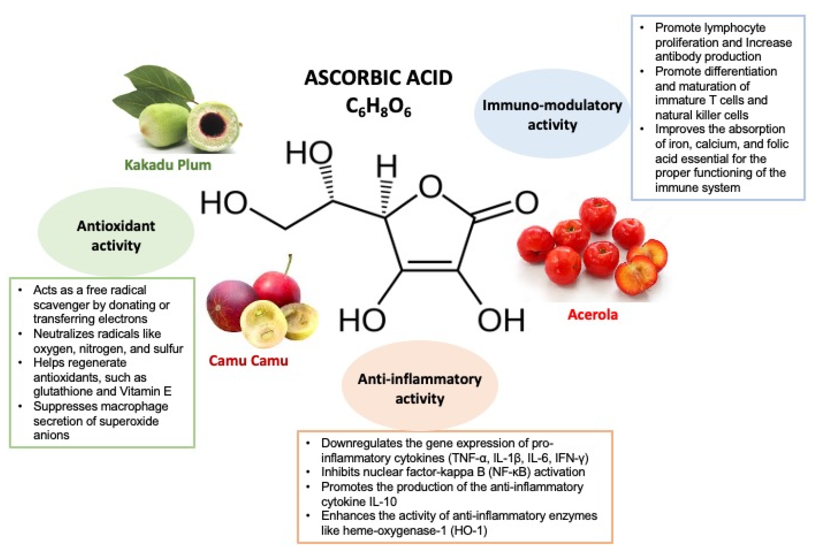 Children 12 00718 g001 Children 12 00718 g001