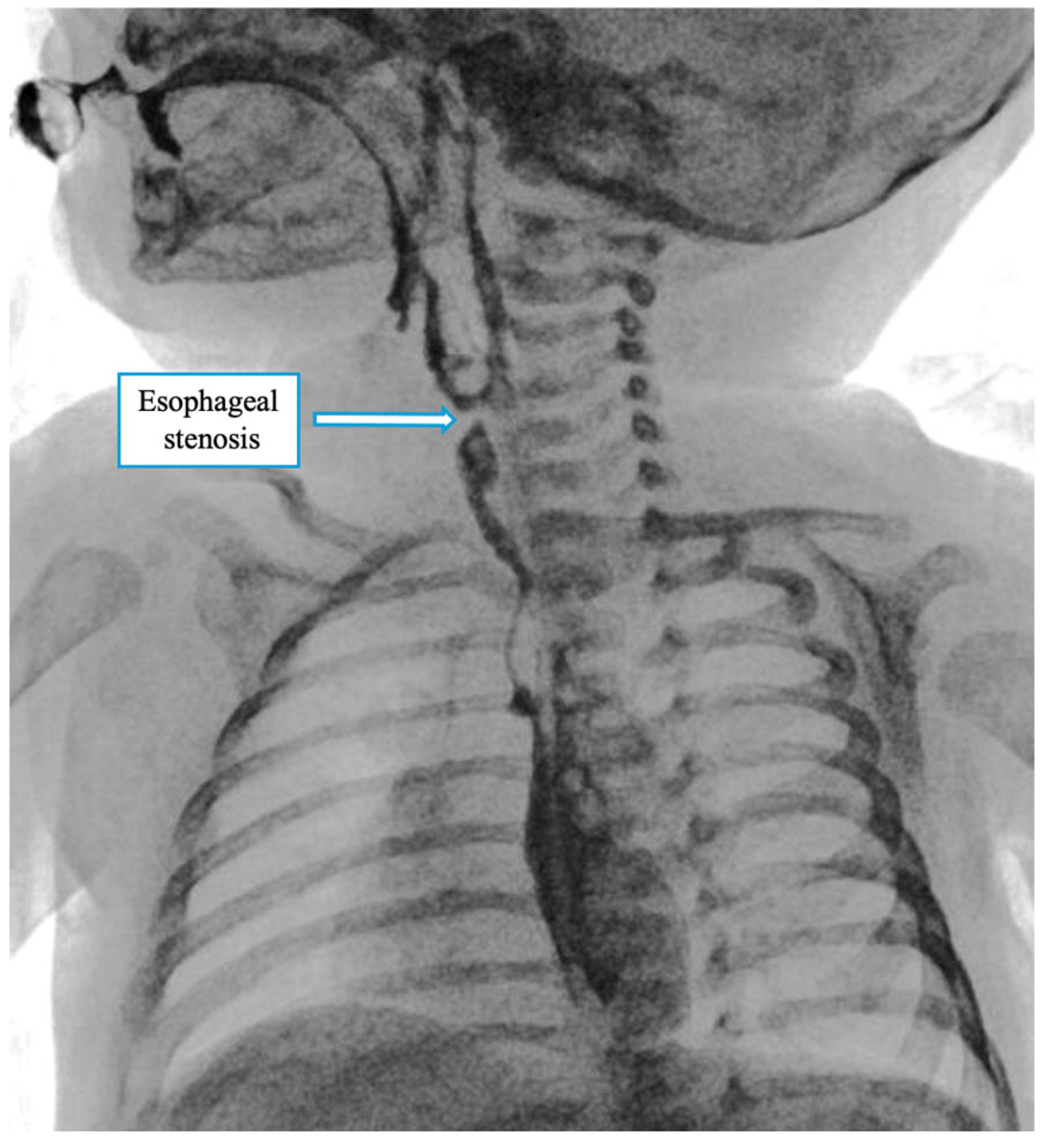 Children 12 00740 g005