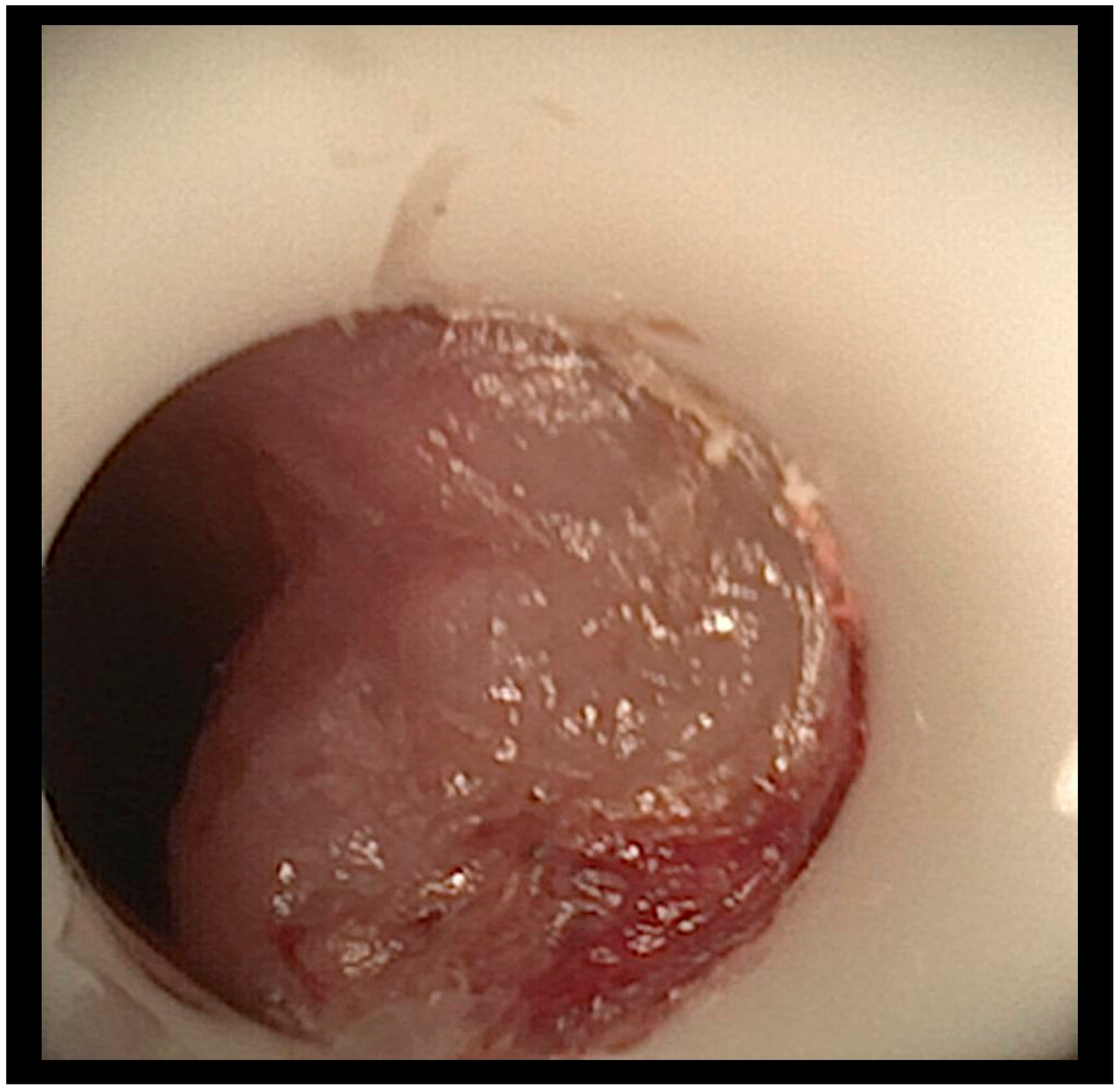 Children 12 00769 g001