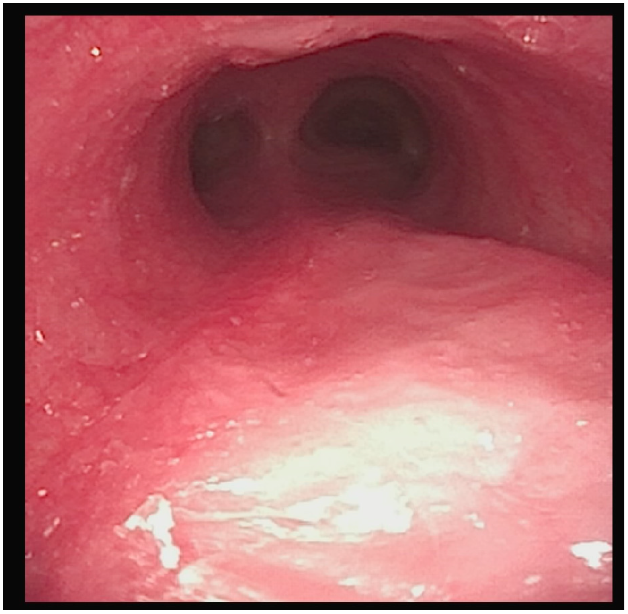 Children 12 00769 g003