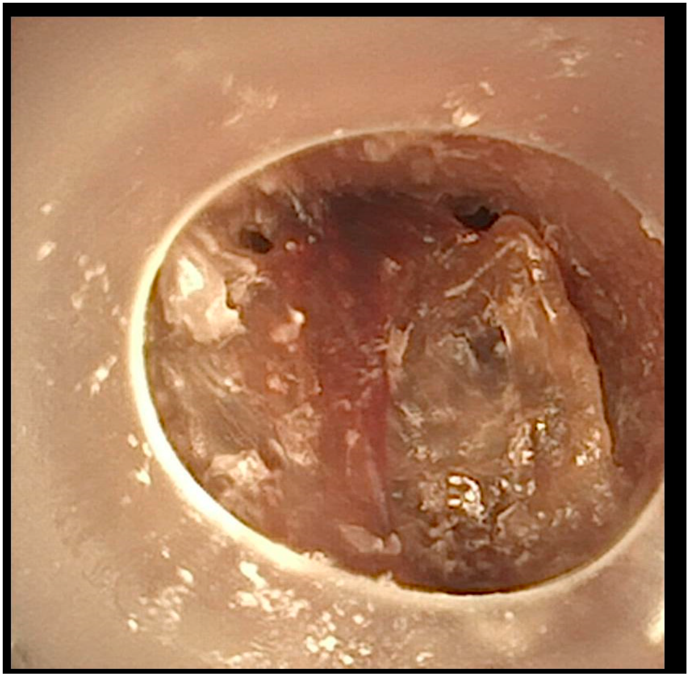 Children 12 00769 g004