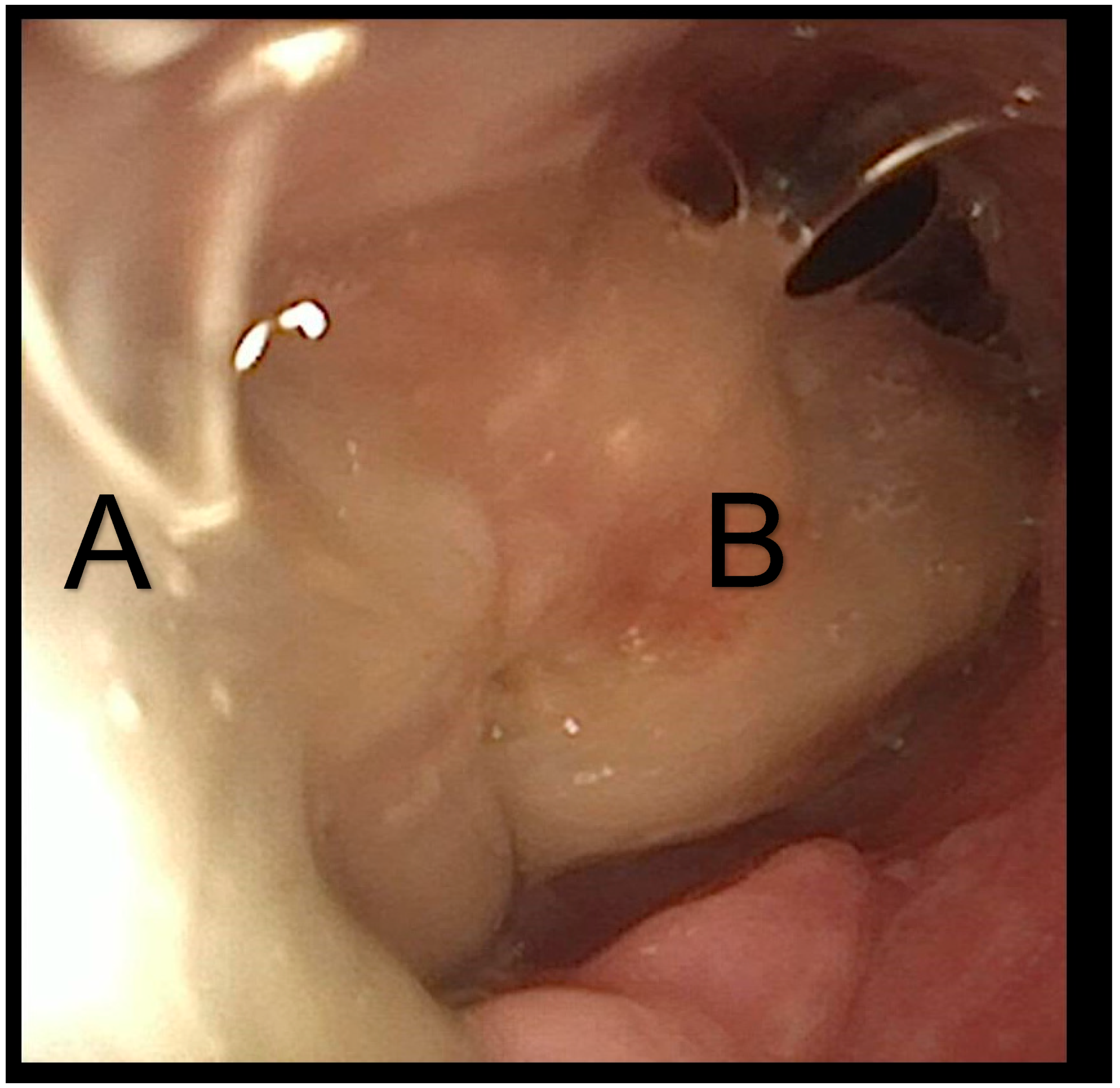 Children 12 00769 g005