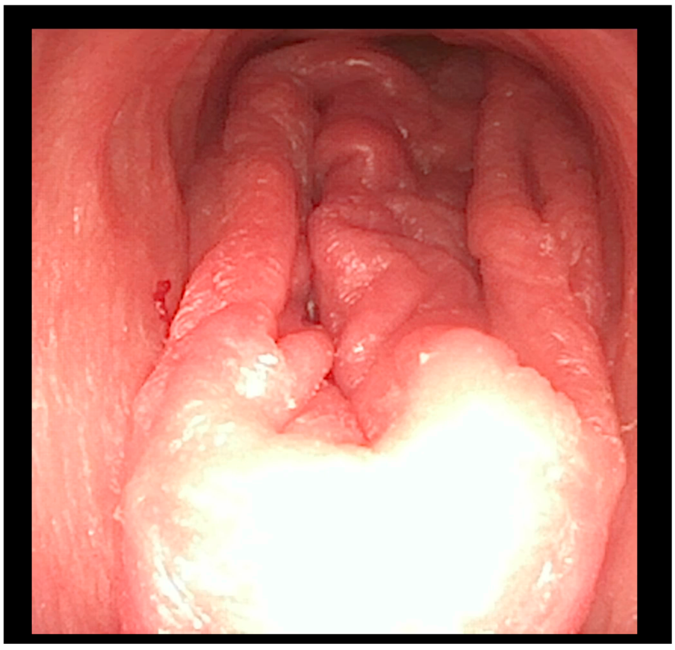 Children 12 00769 g006