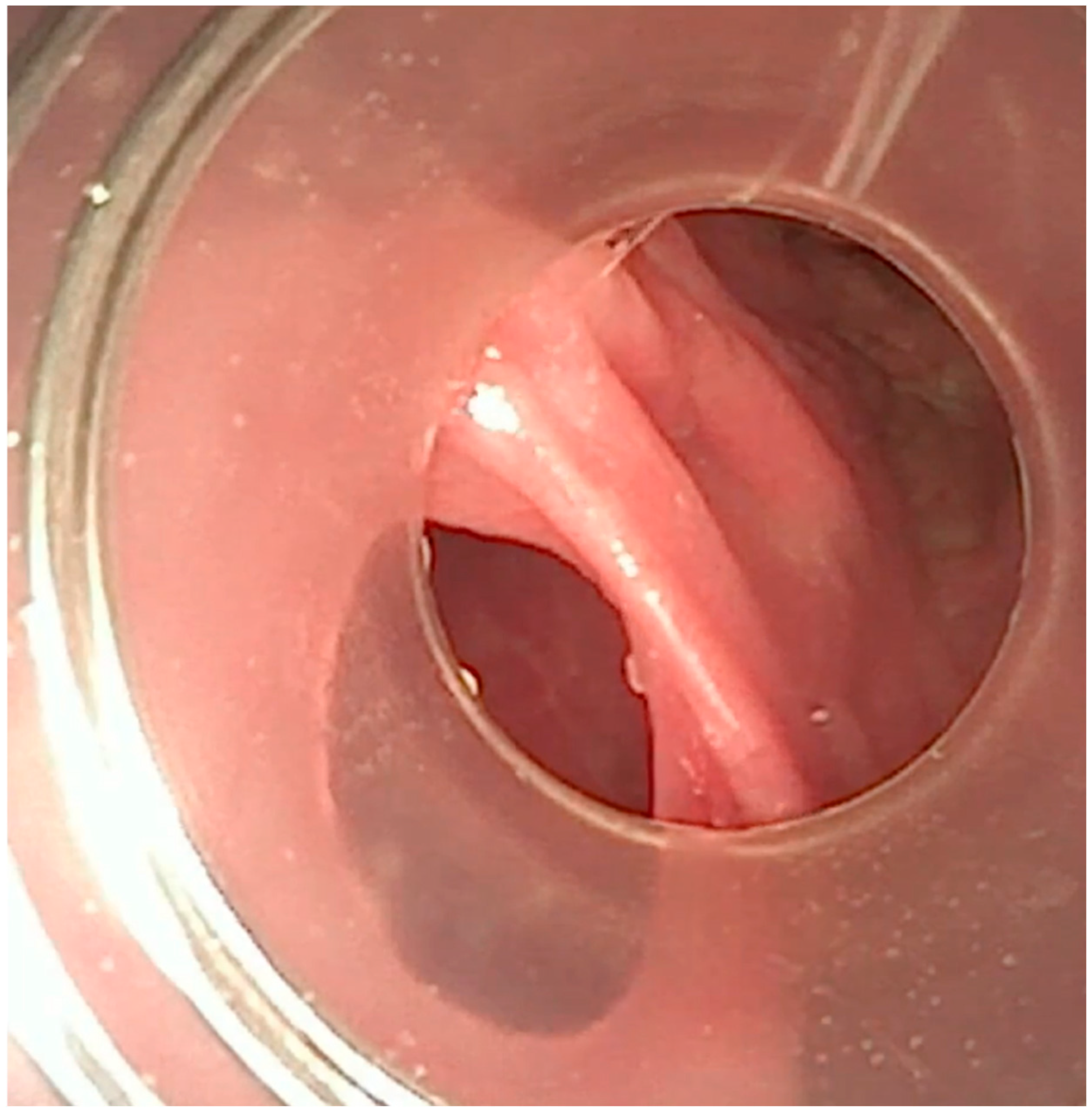 Children 12 00769 g007