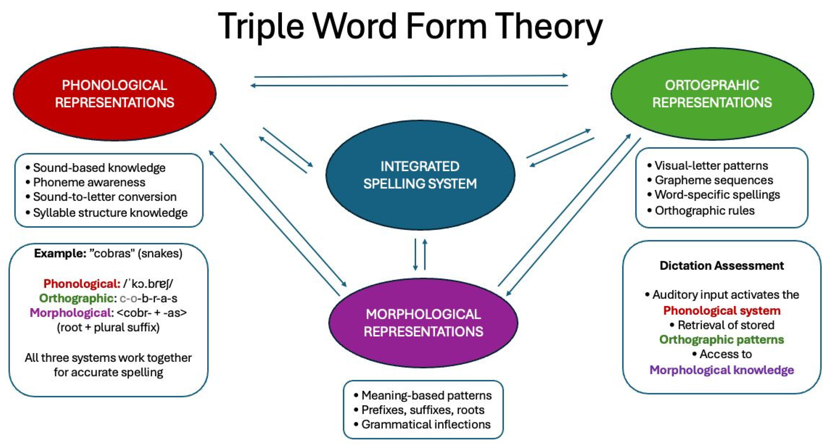 Children 12 00774 g001