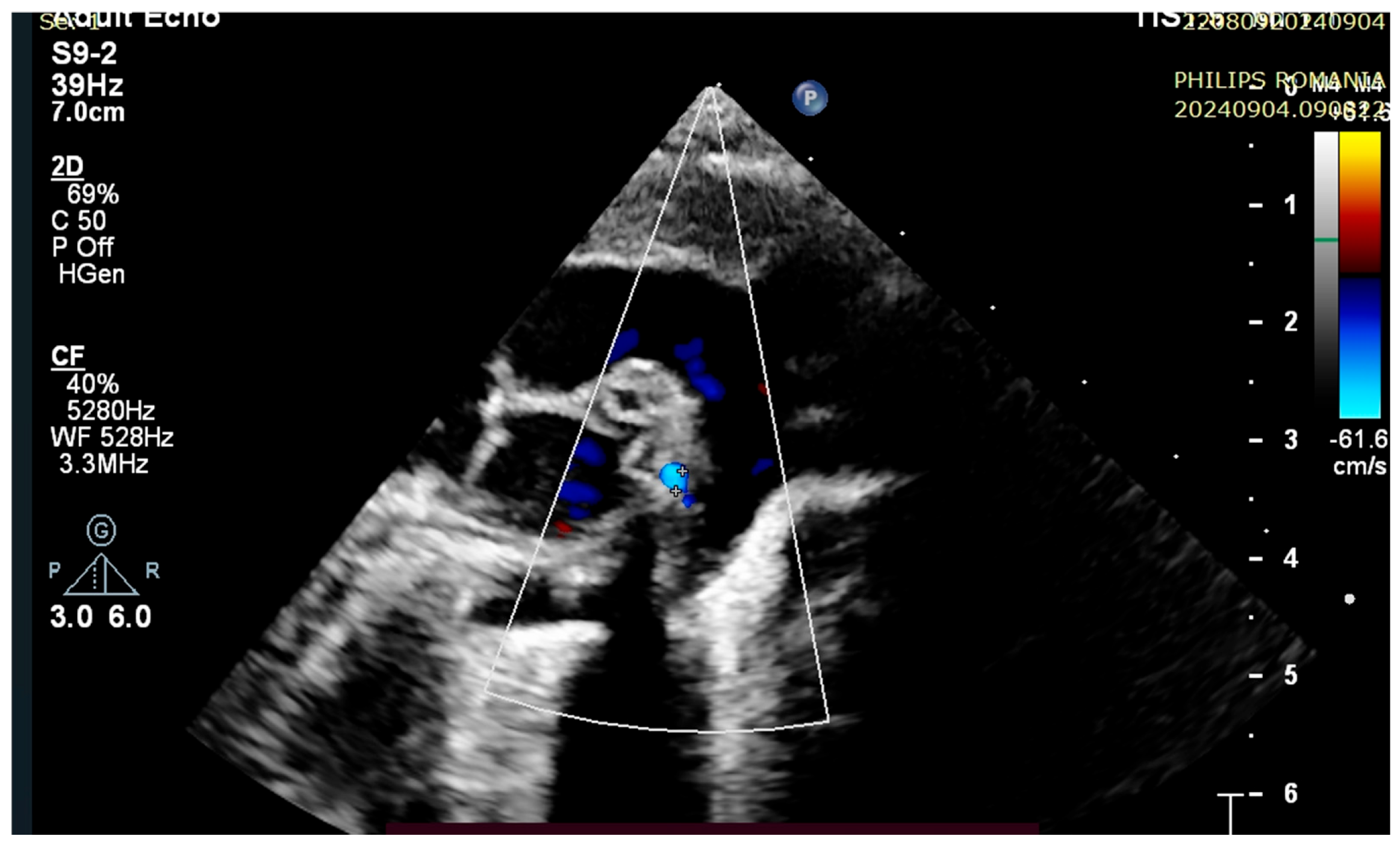 Children 12 00780 g002