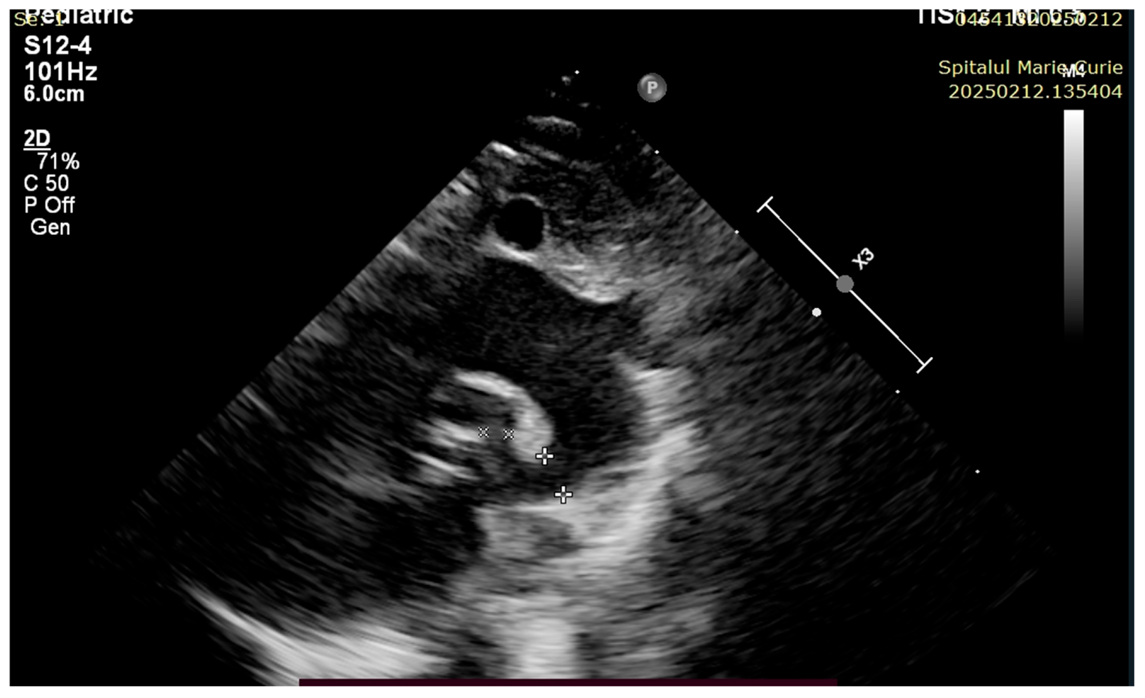 Children 12 00780 g004