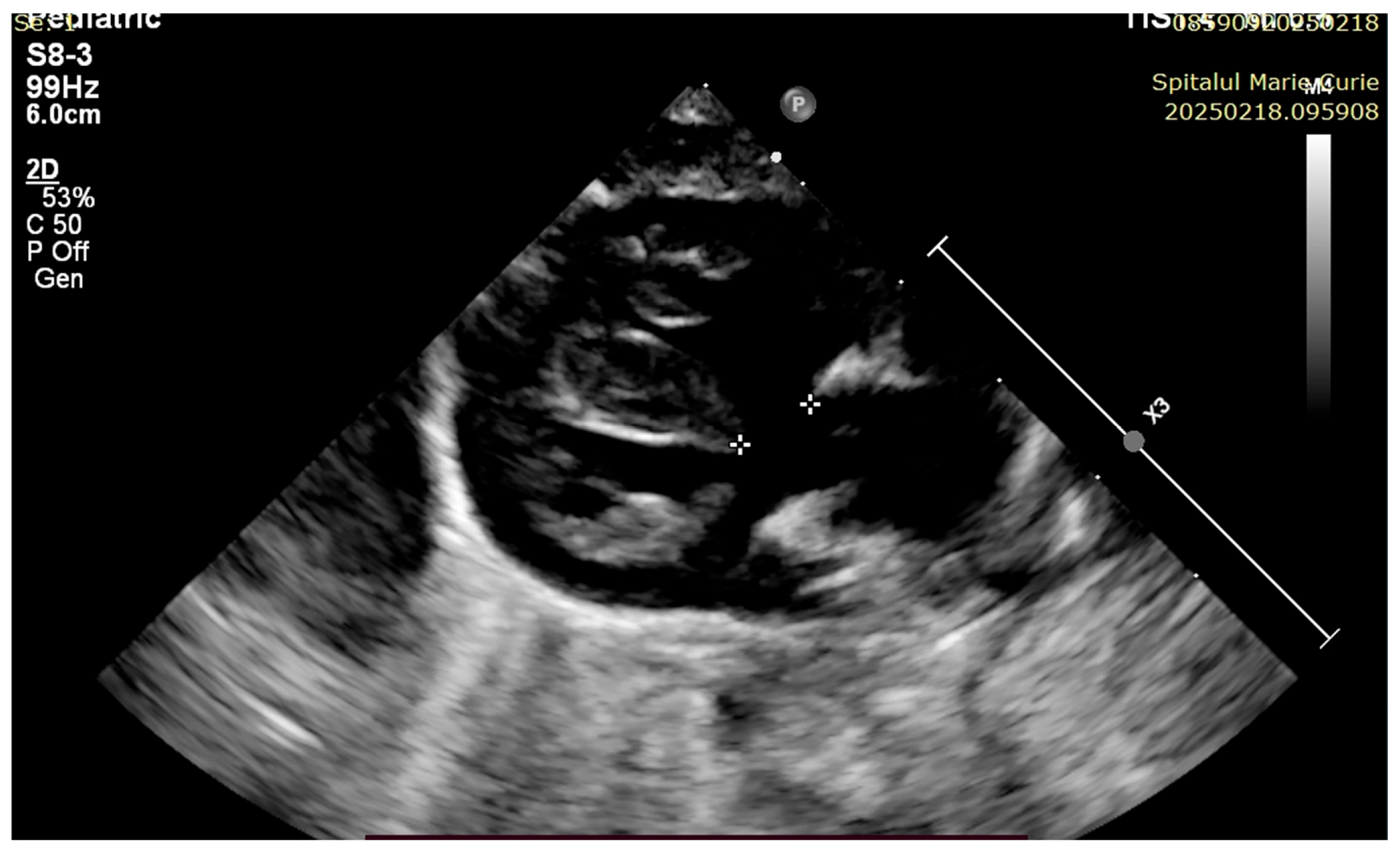 Children 12 00780 g006