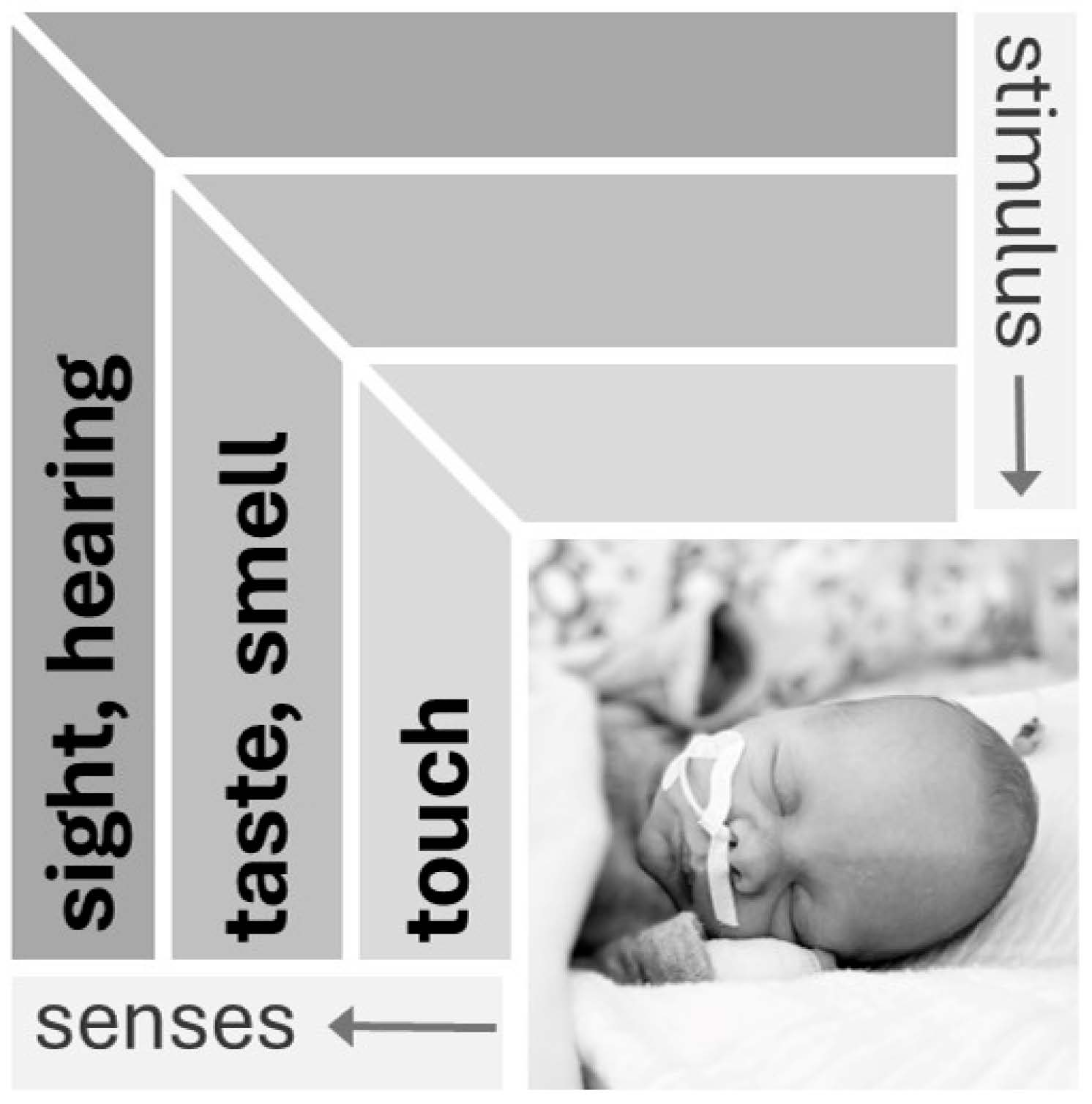 Children 12 00781 g001 Children 12 00781 g001