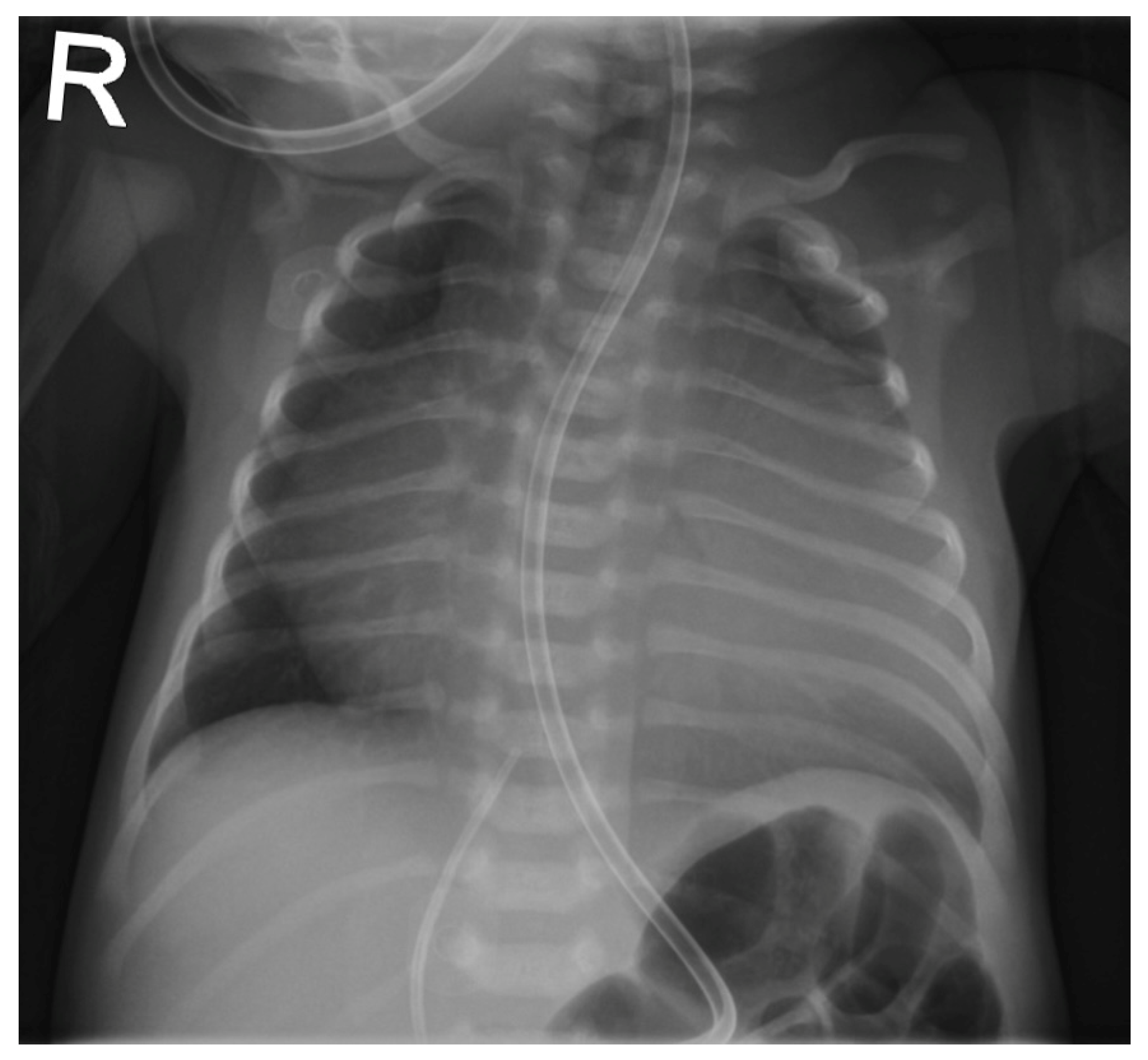 Children 12 00782 g001