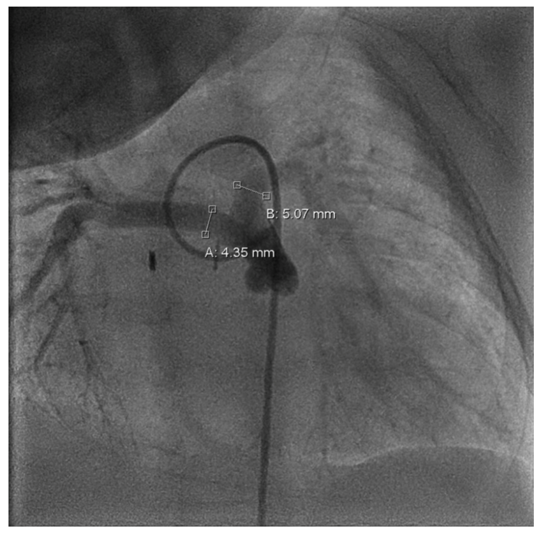 Children 12 00782 g003