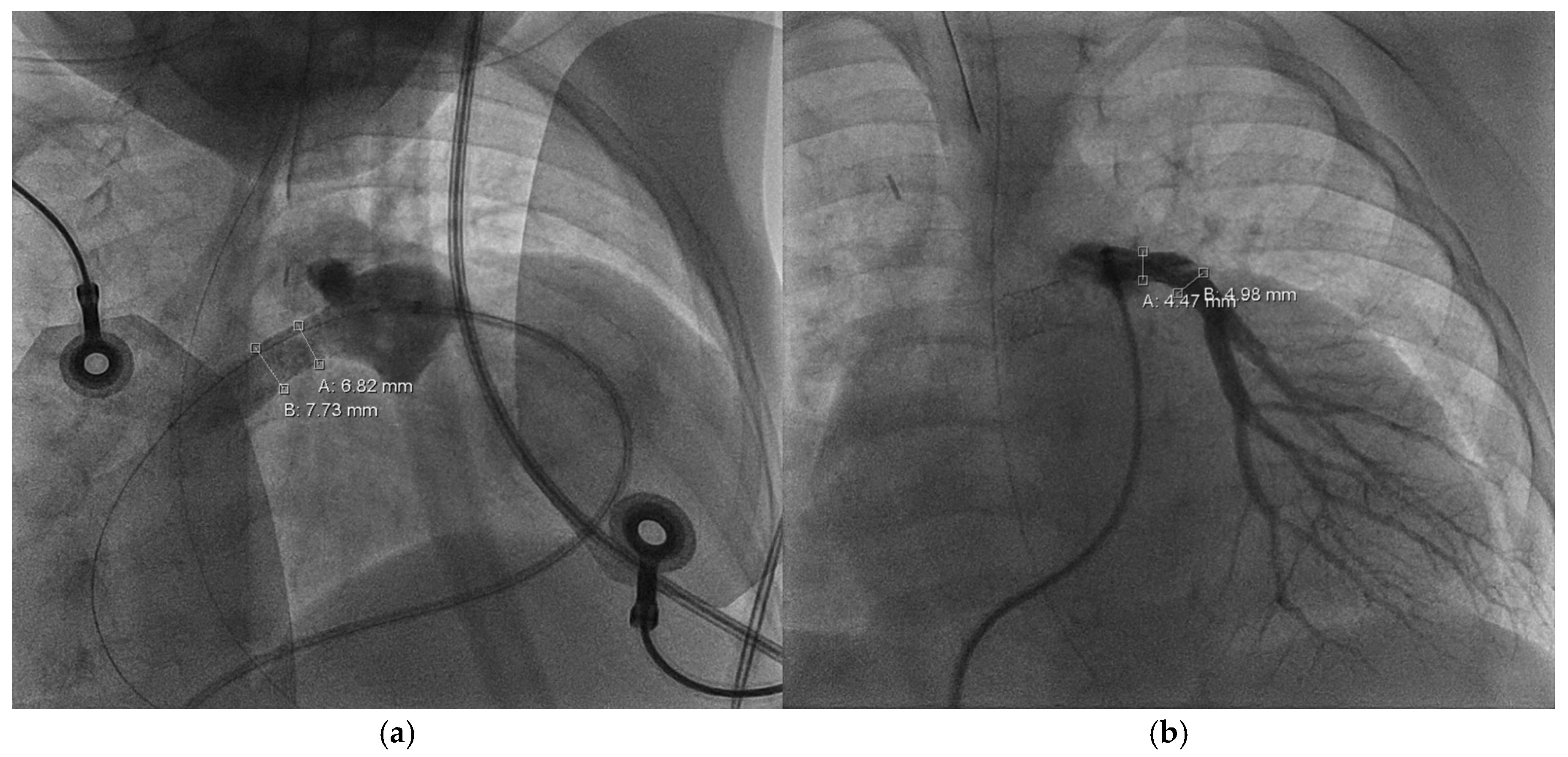 Children 12 00782 g005