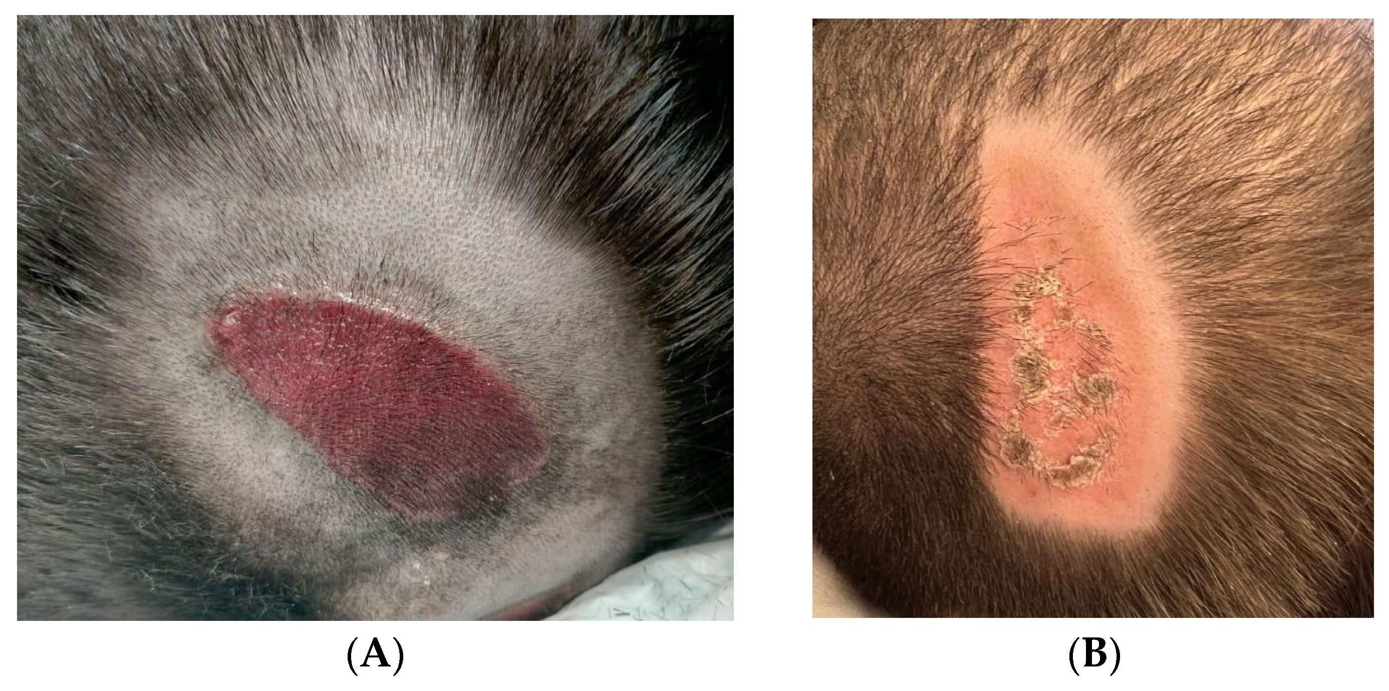 Children 12 00801 g004