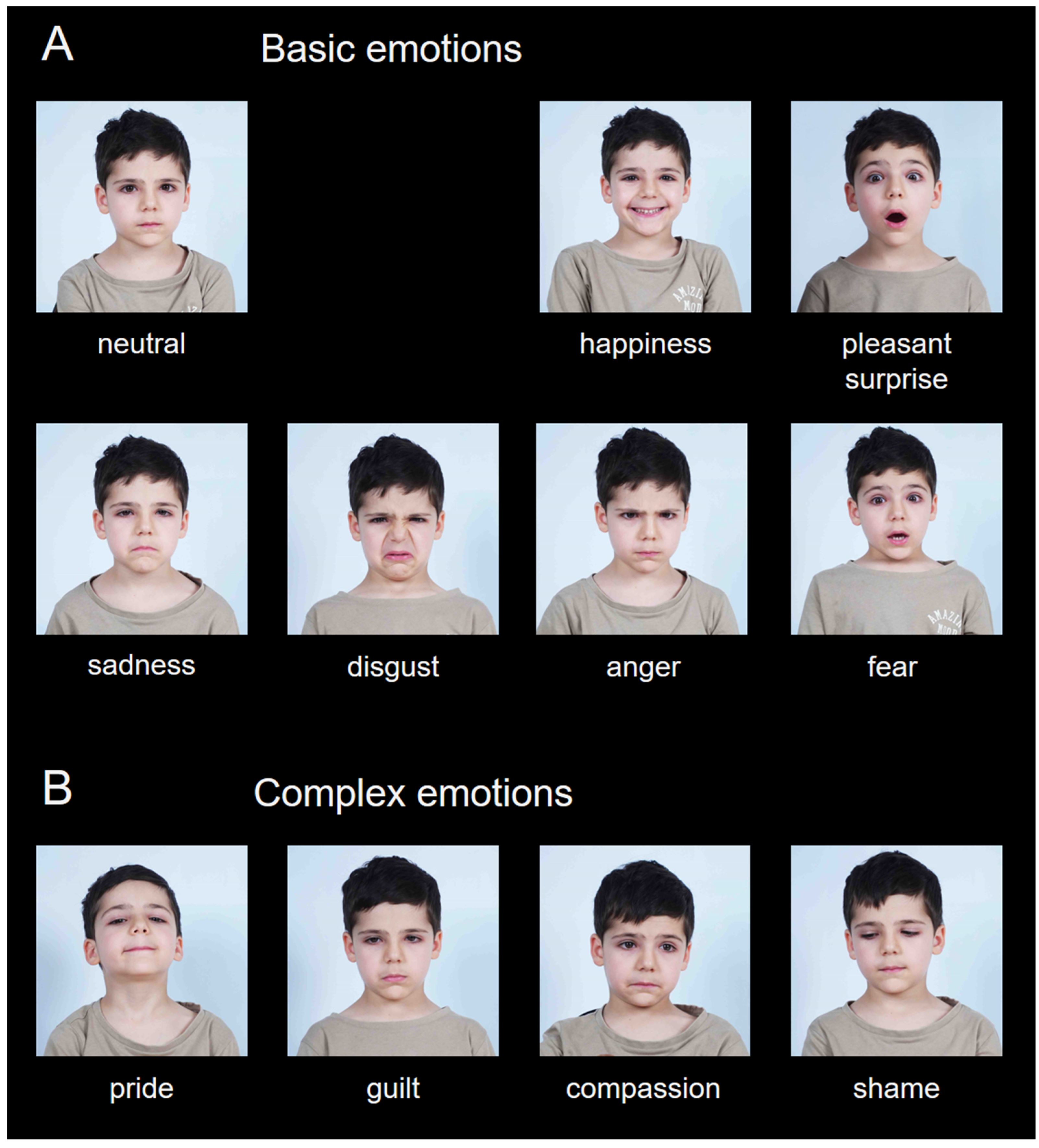 Children 12 00816 g001