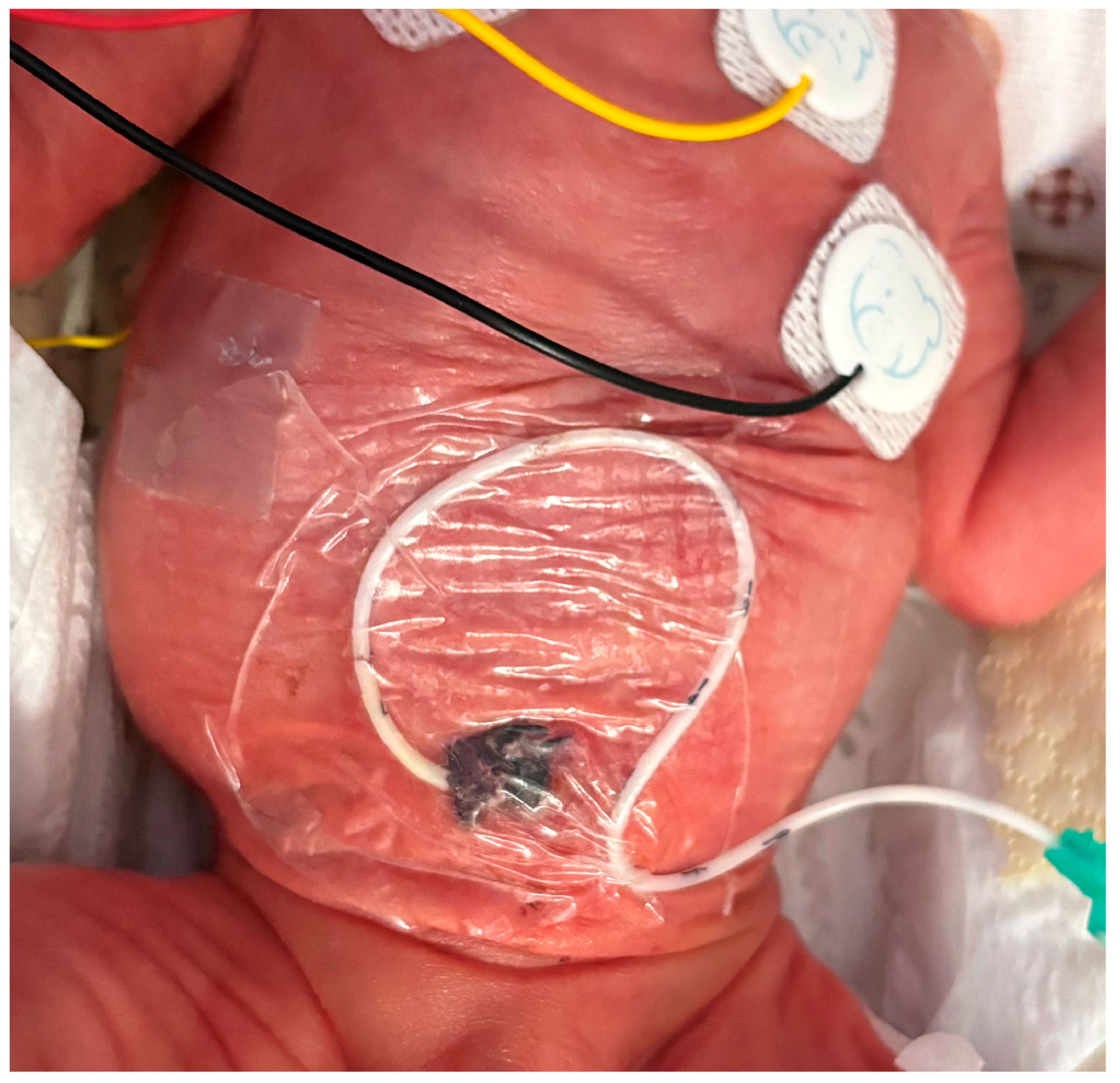 Children 12 00819 g002