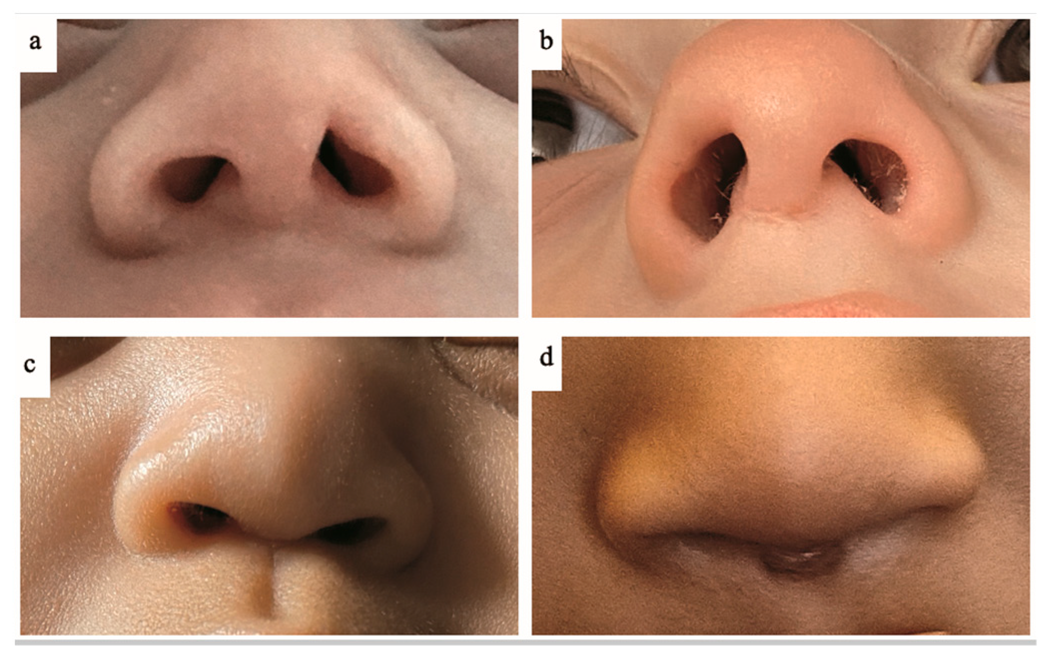 Children 12 00840 g003