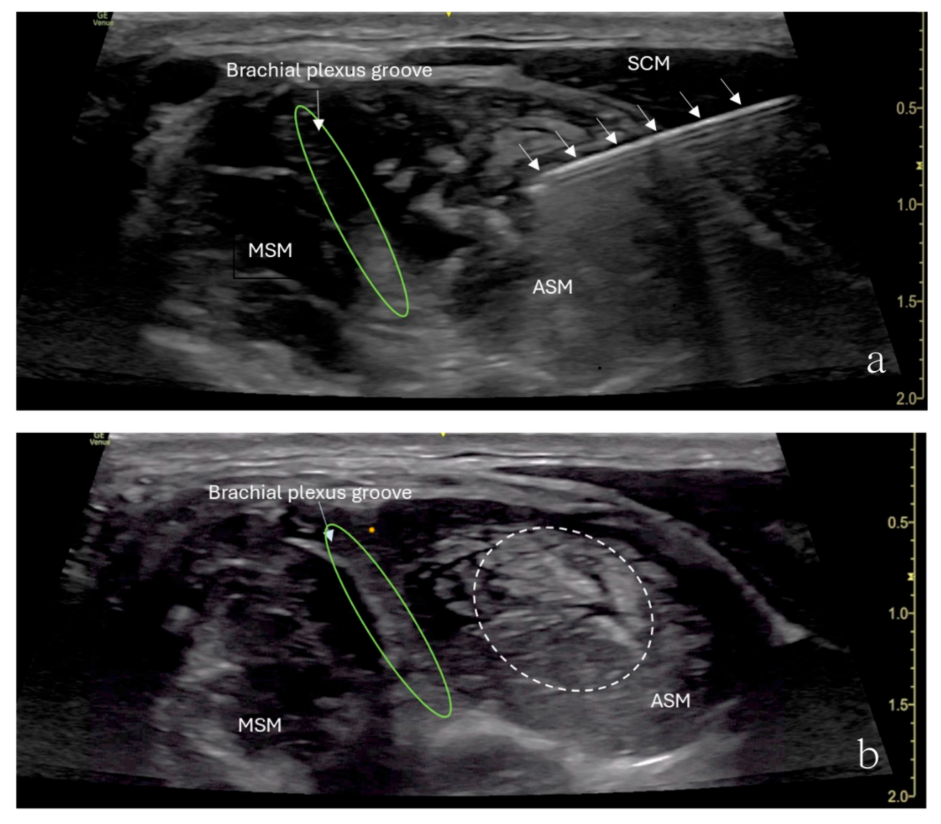 Children 12 00873 g002