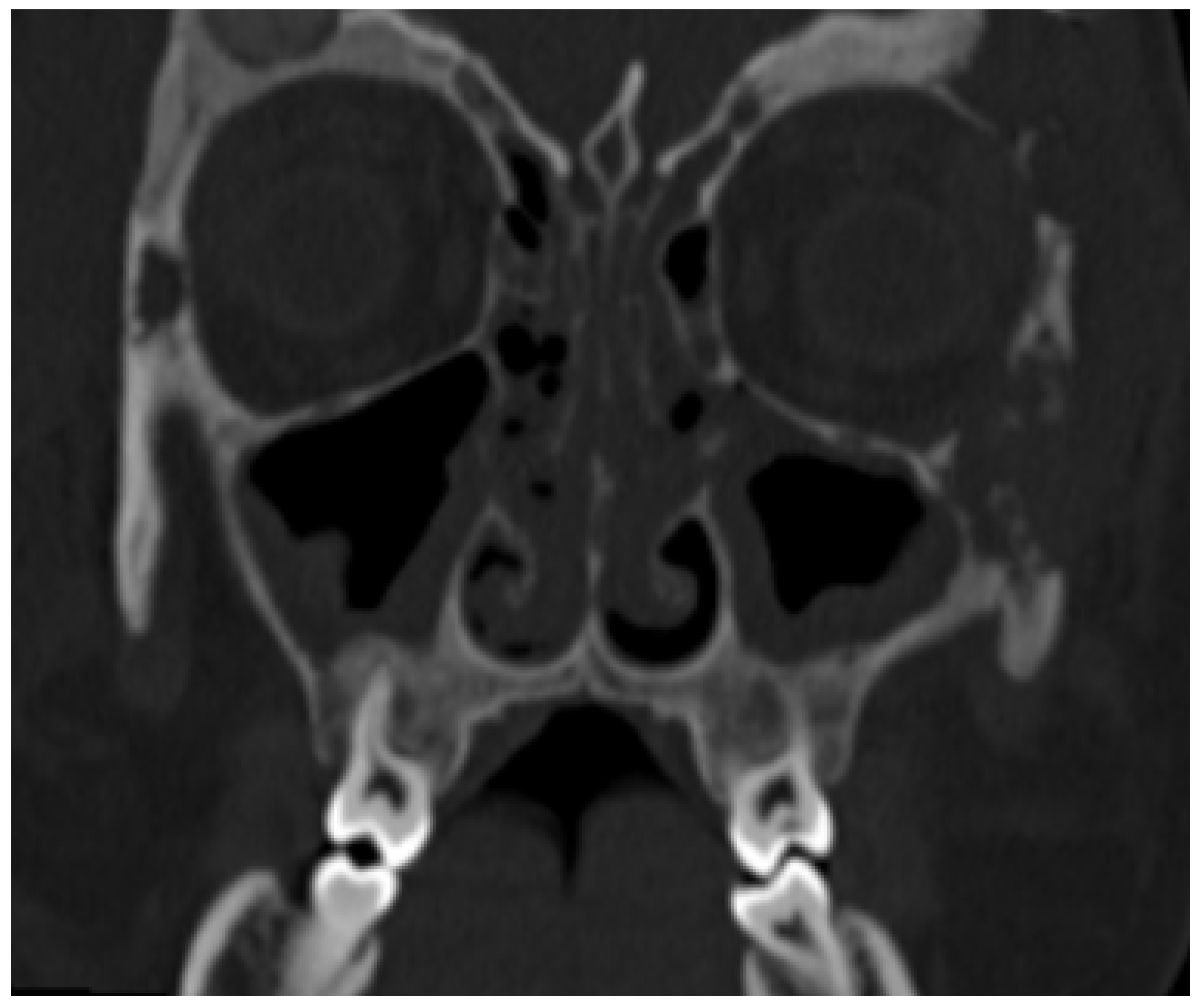 Children 12 00888 g001