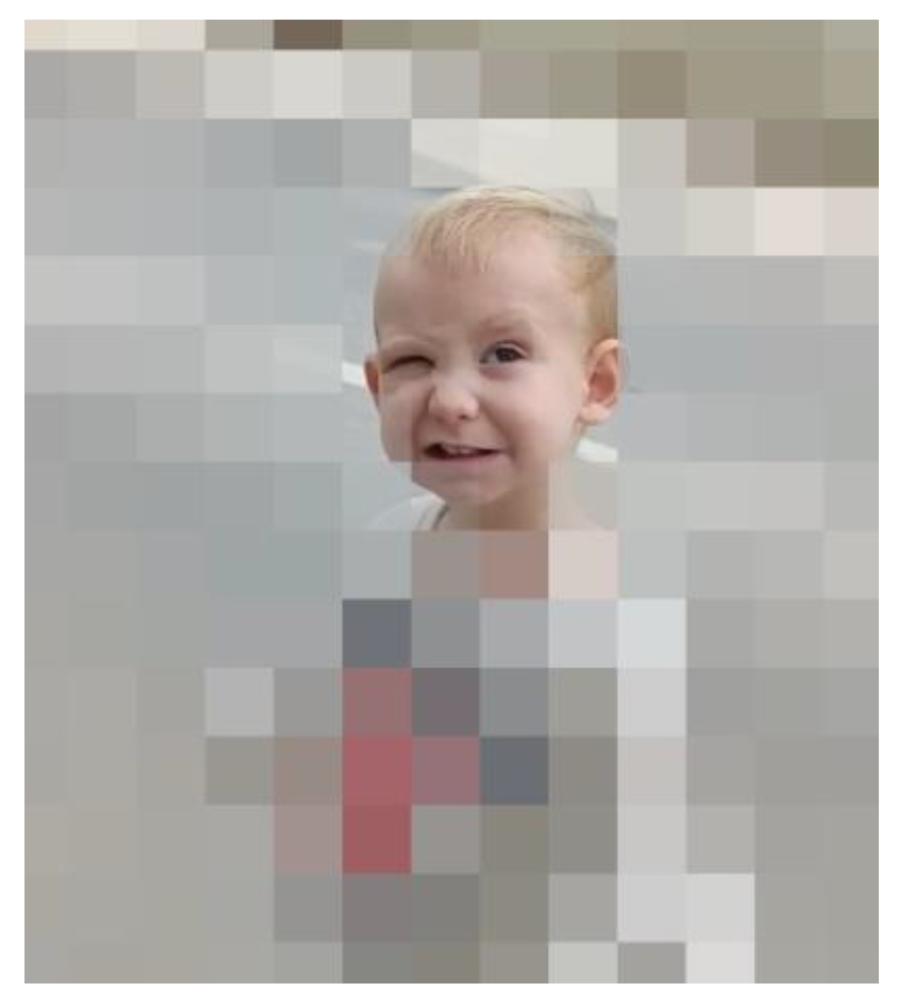 Children 12 00904 g002