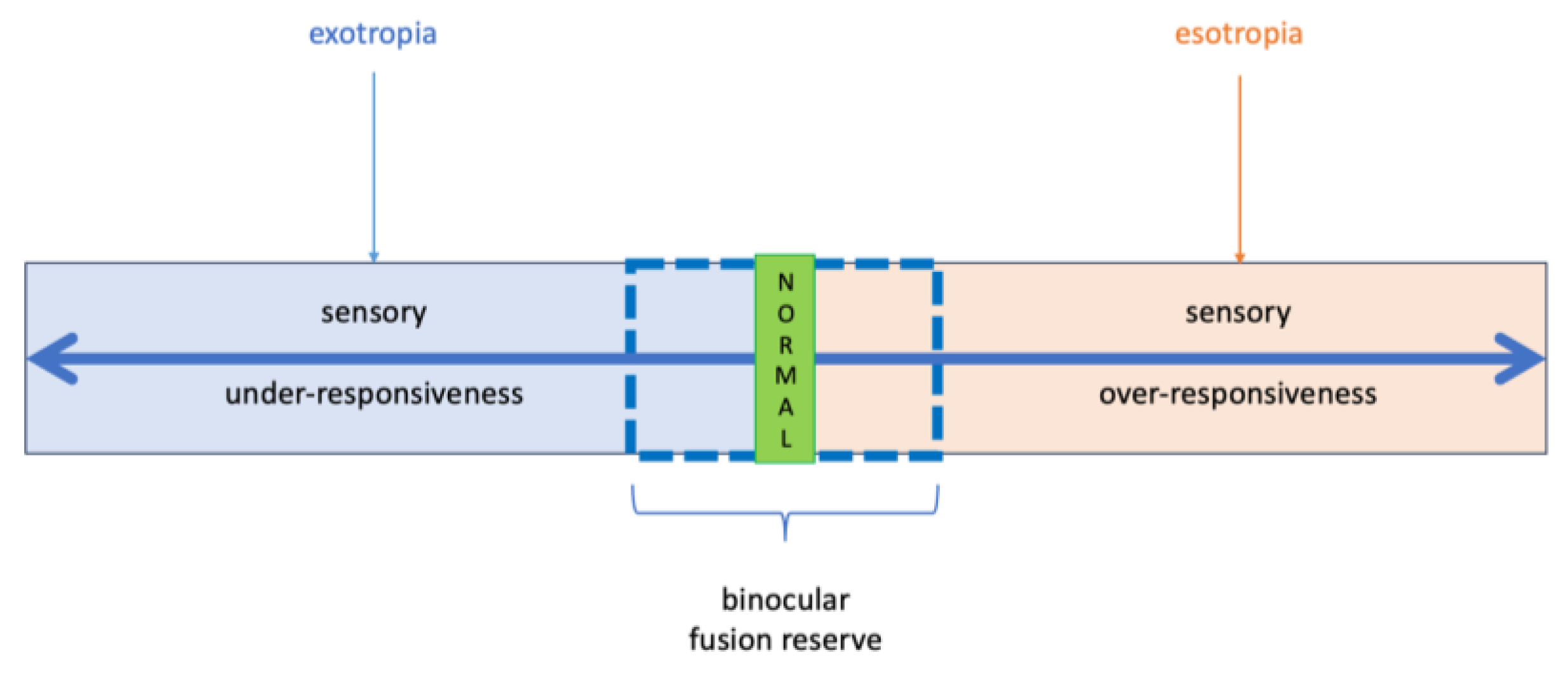 Children 12 00904 g004