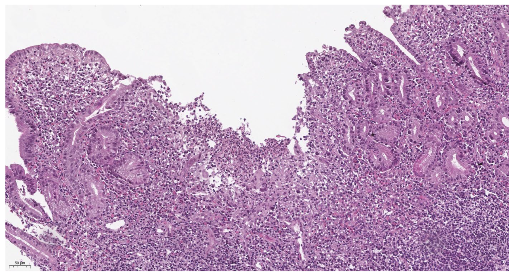 Children 12 00952 g002 Children 12 00952 g002