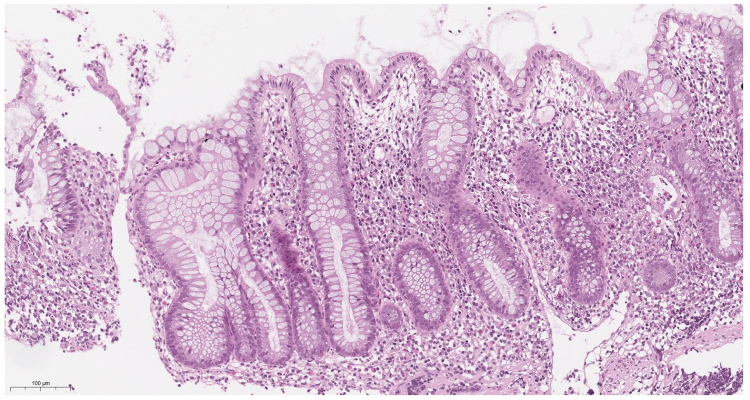 Children 12 00952 g003 Children 12 00952 g003