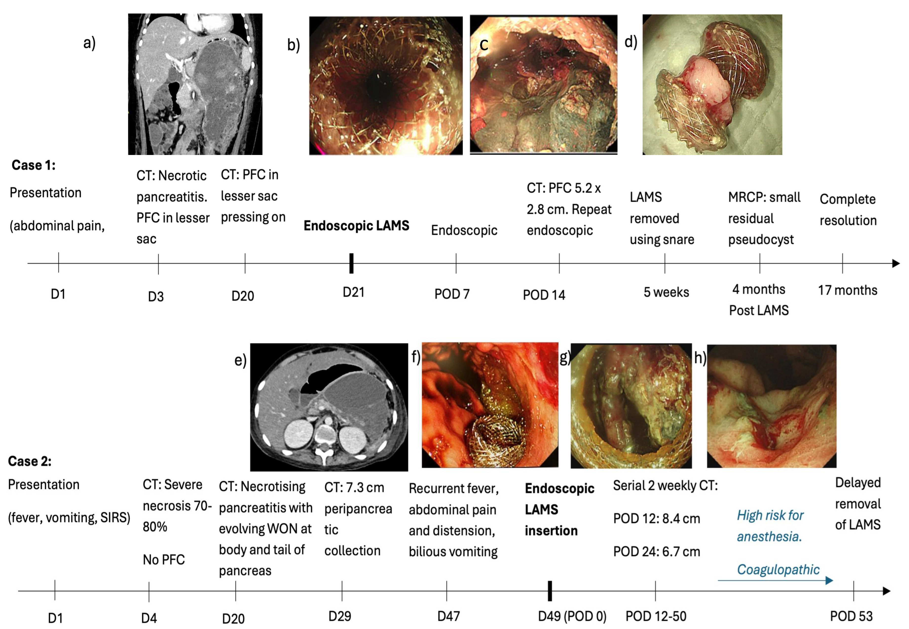 Children 12 00965 g001