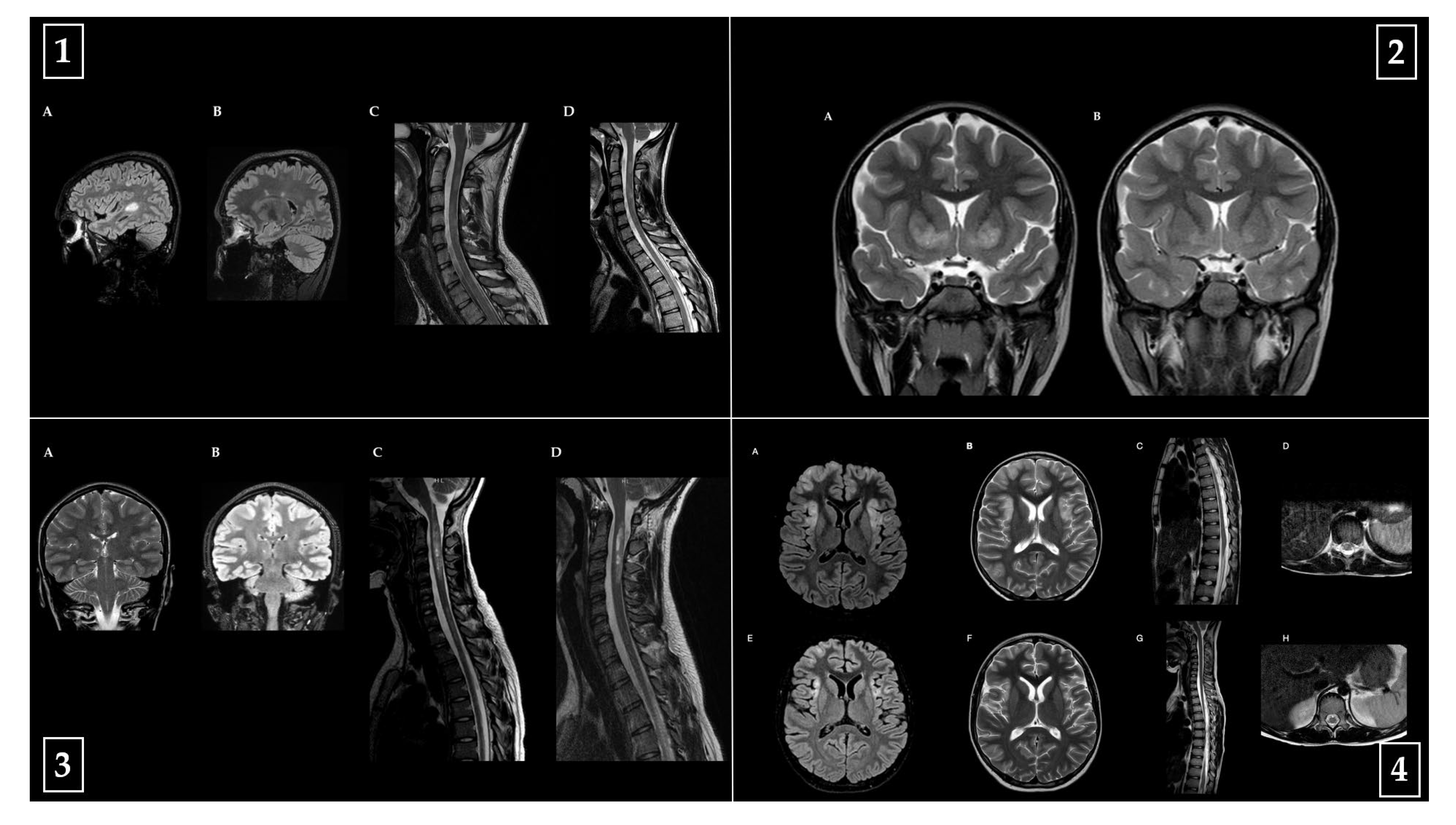 Children 12 00975 g005